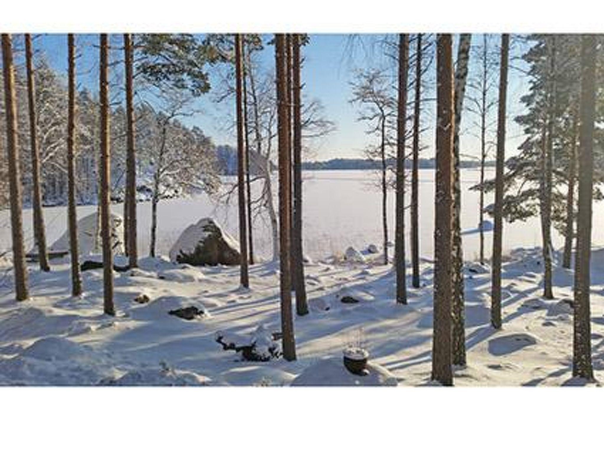 Photo 26 - Maison de 1 chambre à Pälkäne avec sauna