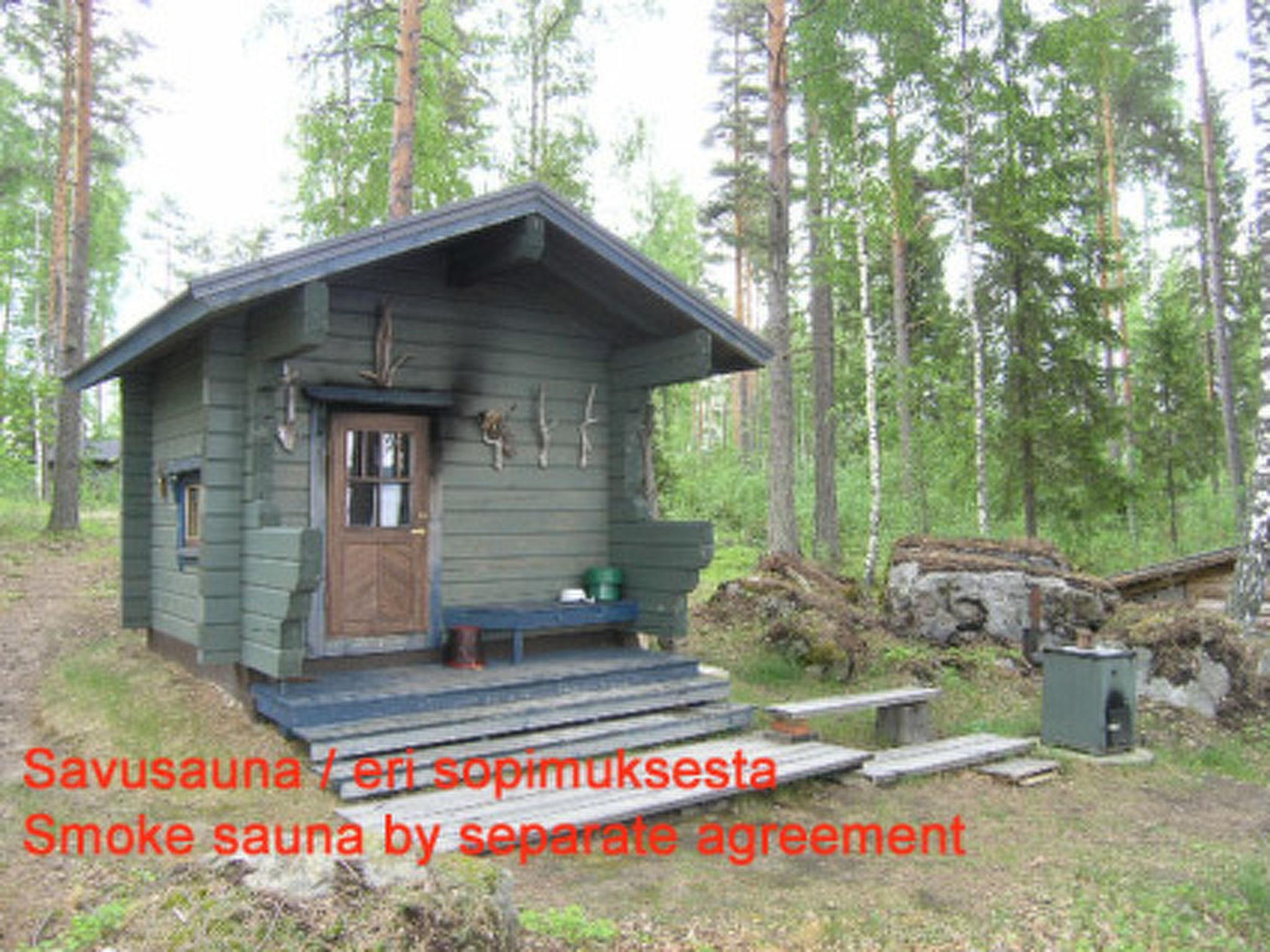 Foto 28 - Haus mit 1 Schlafzimmer in Pälkäne mit sauna