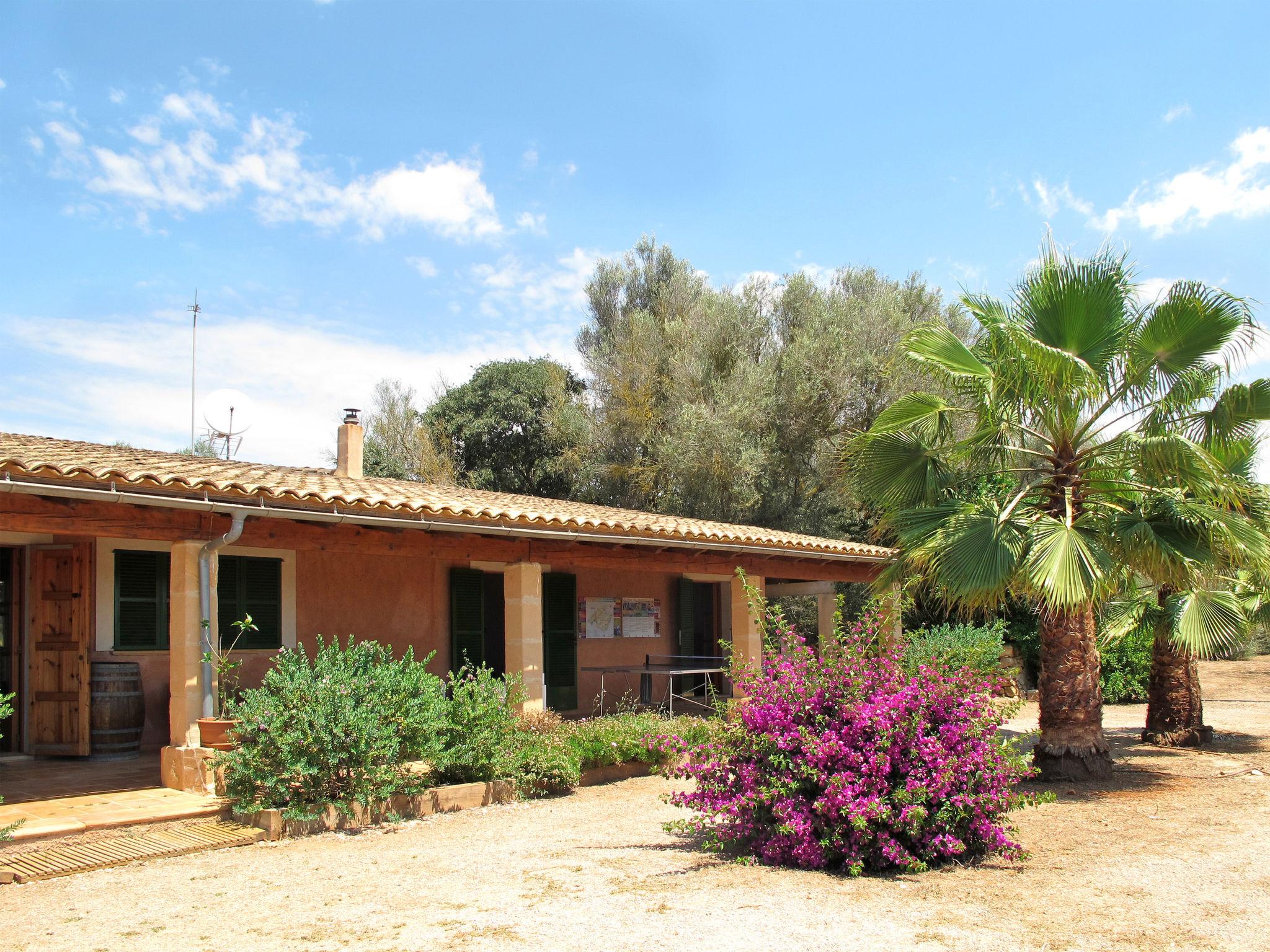 Photo 25 - 3 bedroom House in Porreres with private pool and garden