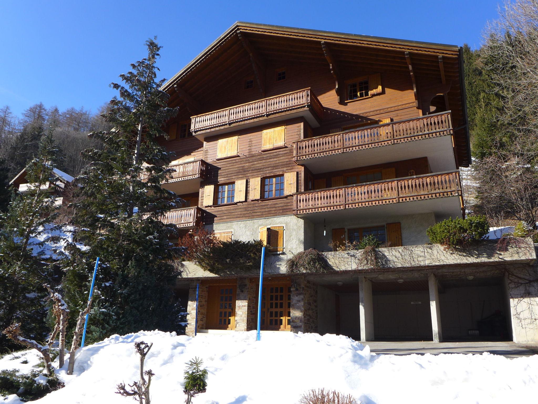 Foto 18 - Apartamento de 2 habitaciones en Champéry con jardín y terraza