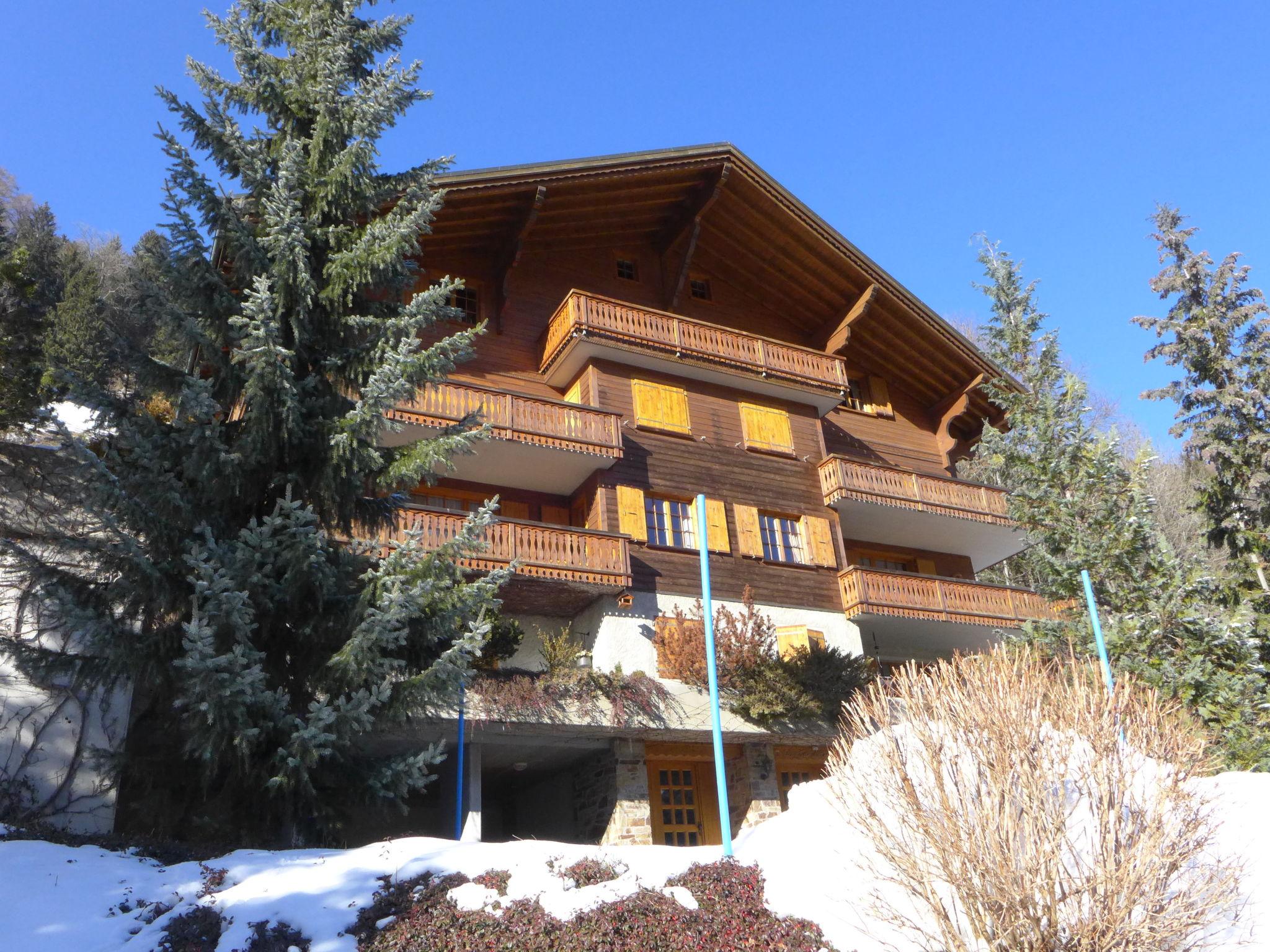 Photo 19 - 2 bedroom Apartment in Champéry with garden and mountain view