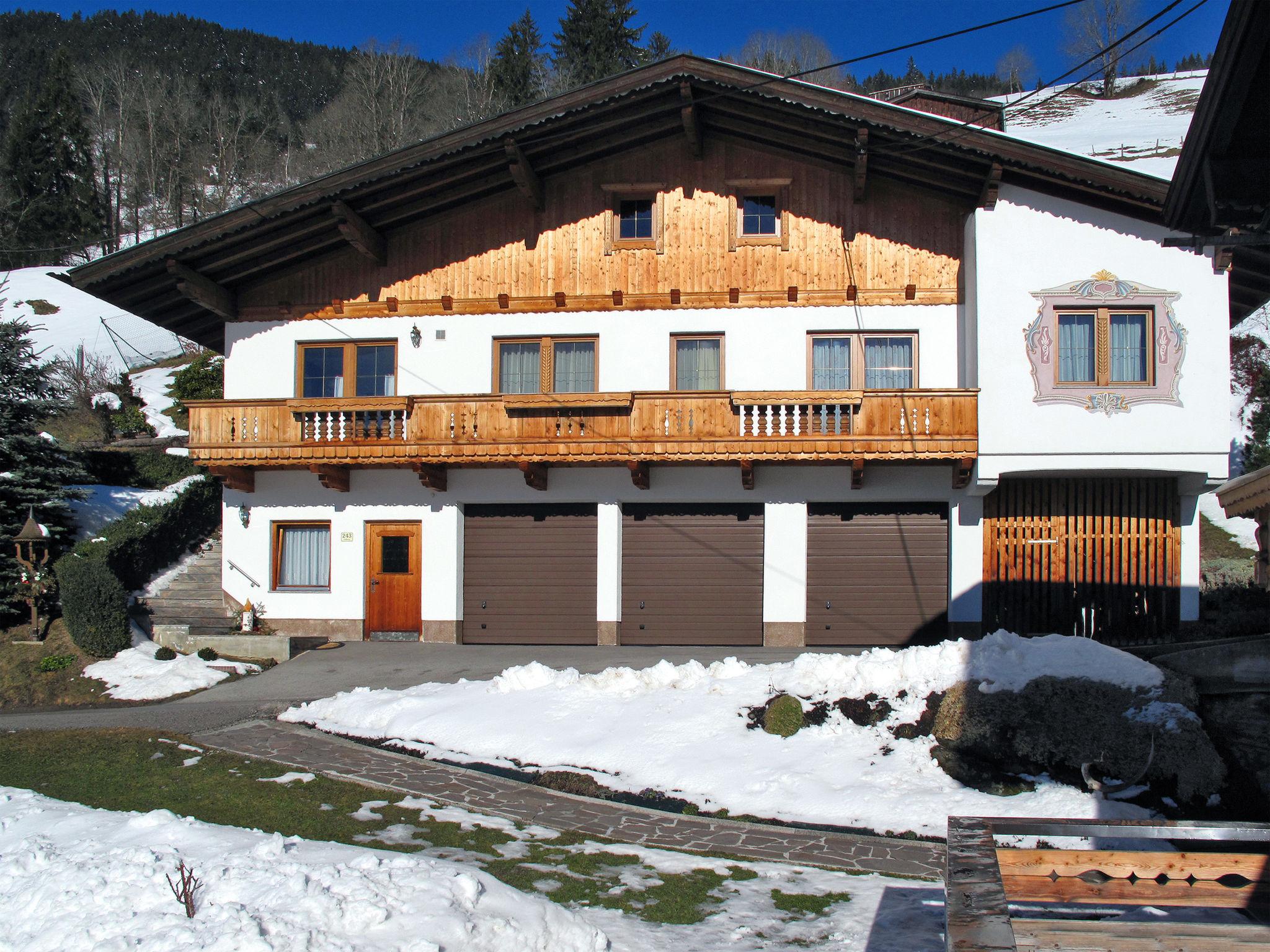 Foto 17 - Apartamento de 2 habitaciones en Zellberg con jardín y vistas a la montaña