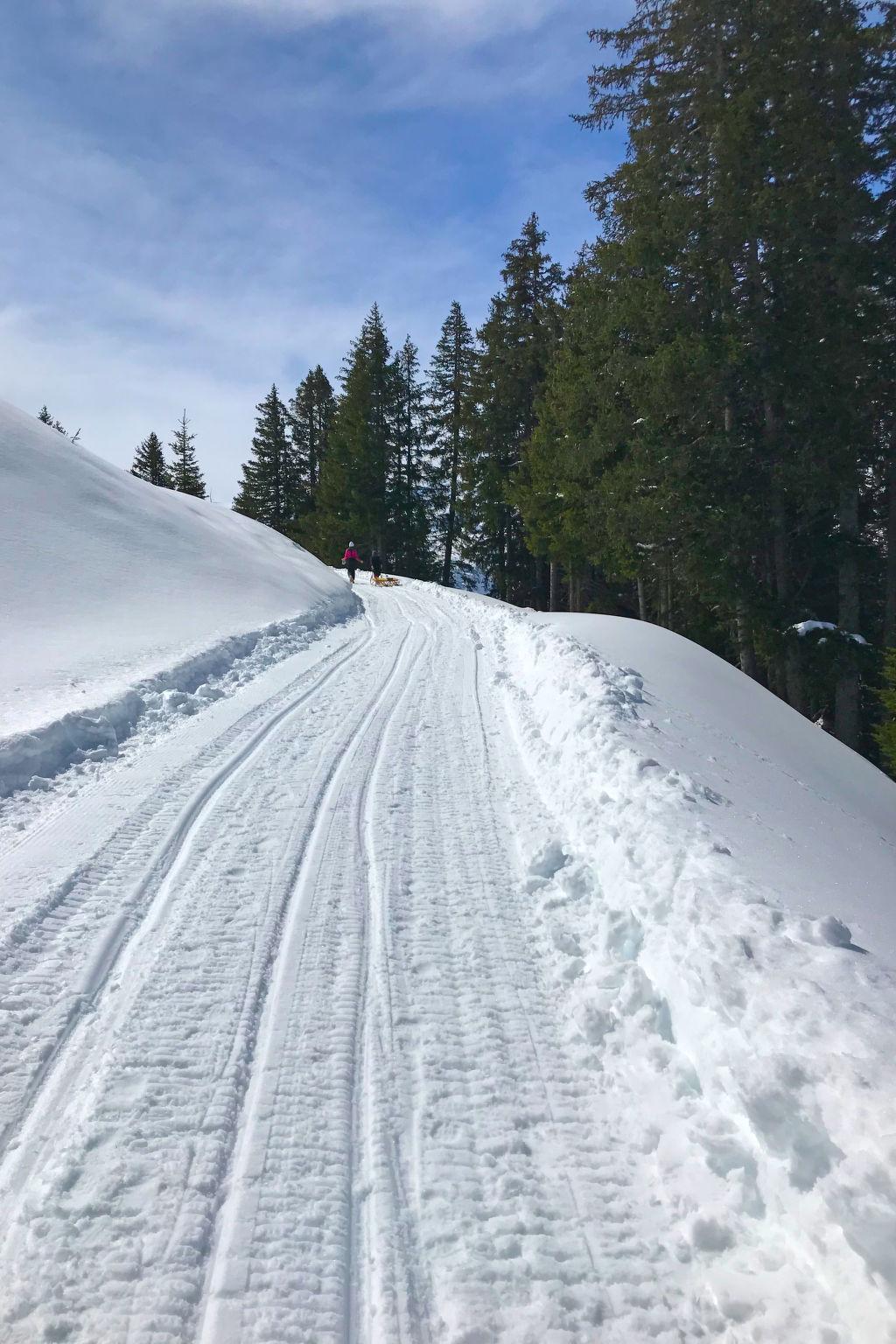 Foto 40 - Appartamento con 2 camere da letto a Surses con vista sulle montagne