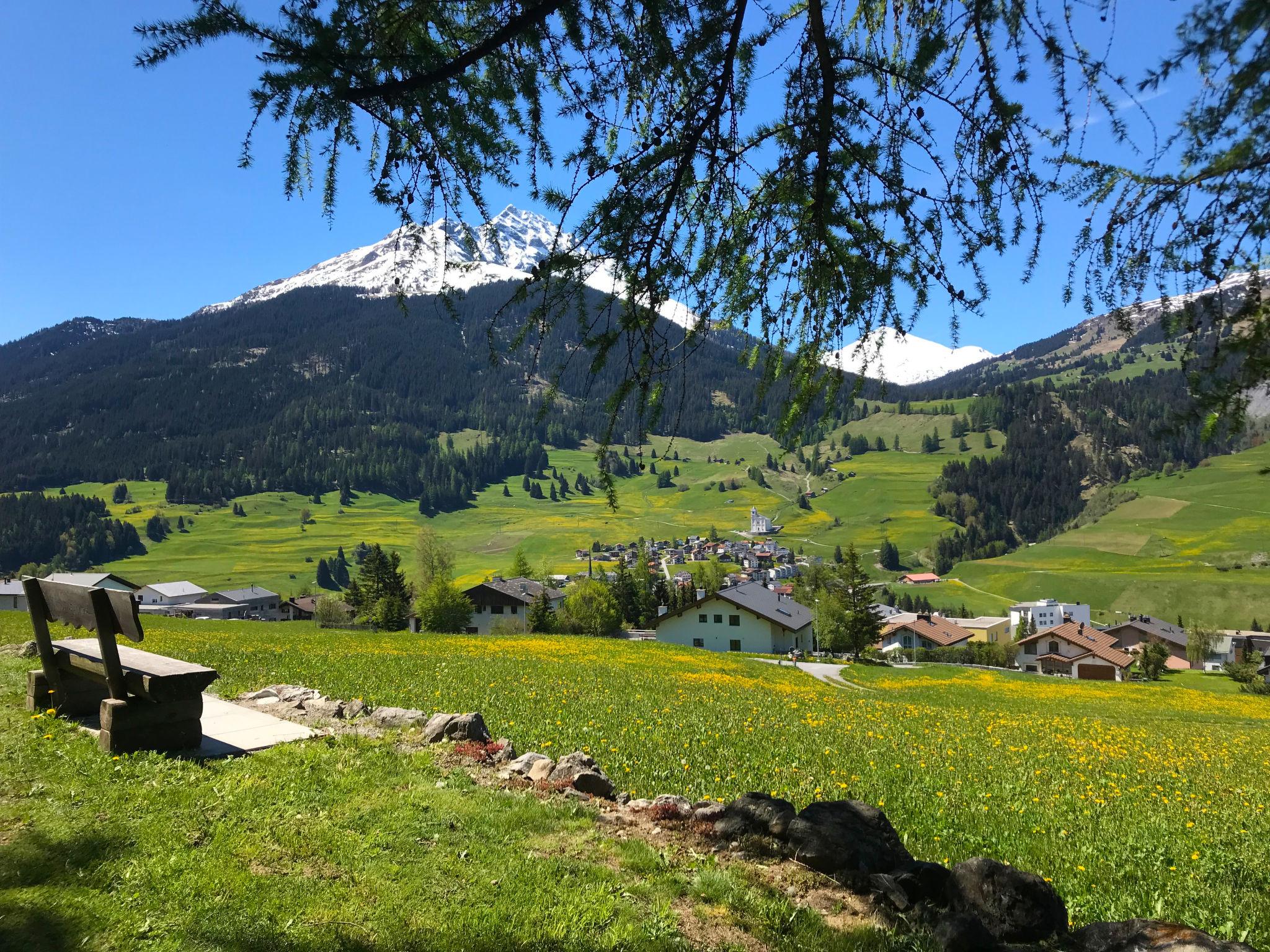 Foto 25 - Appartamento con 2 camere da letto a Surses con vista sulle montagne