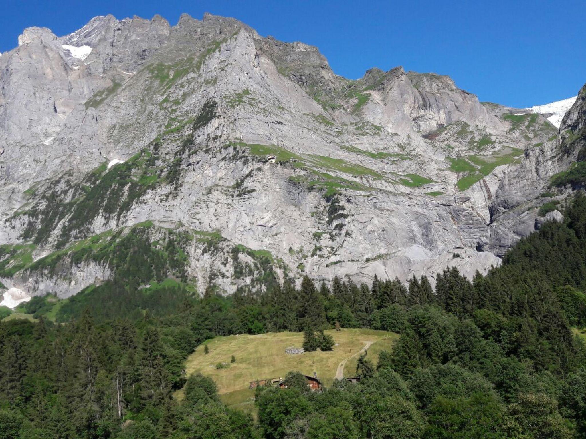 Foto 8 - Apartamento de 1 quarto em Grindelwald com vista para a montanha