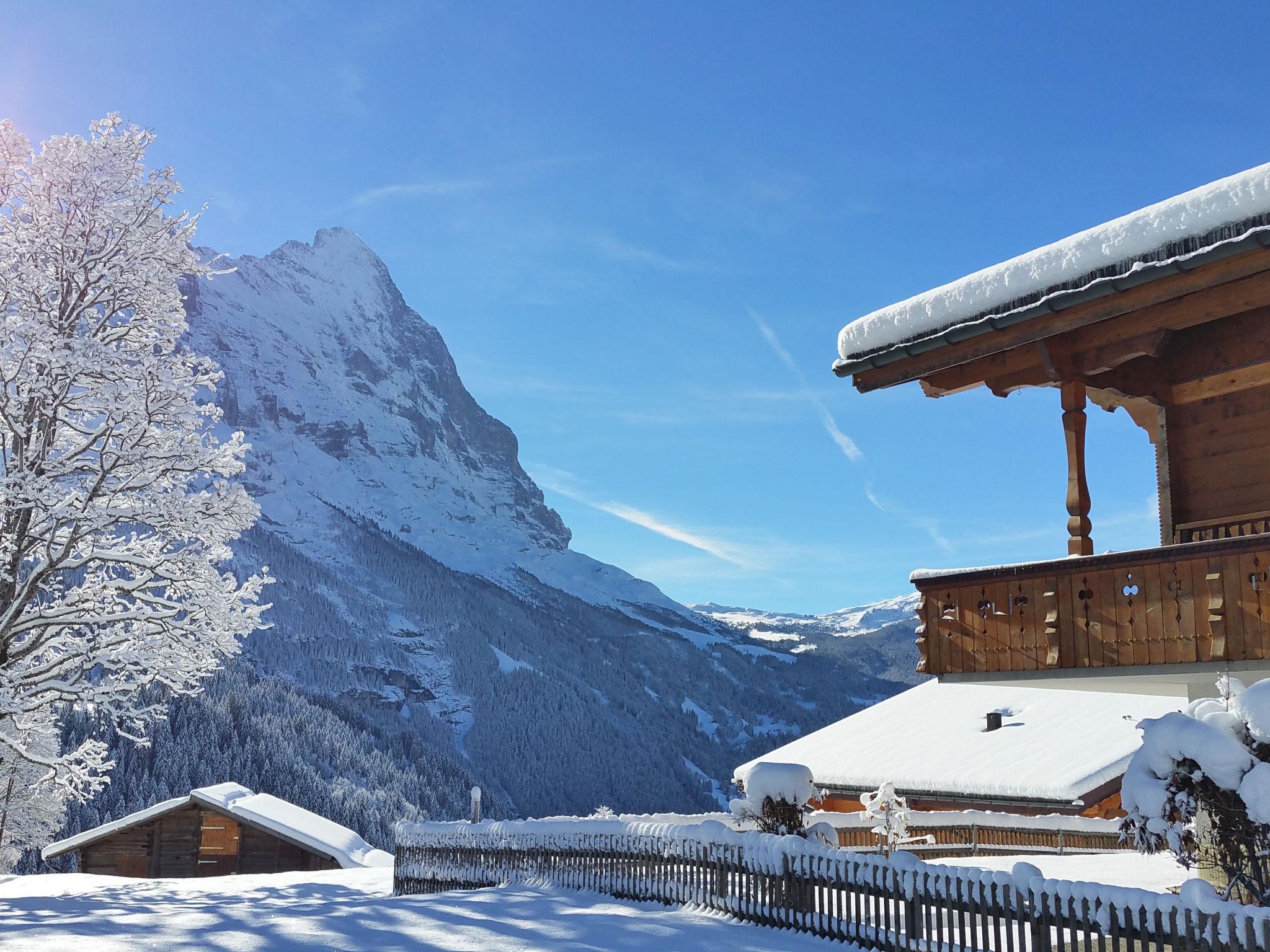 Foto 9 - Apartamento de 1 habitación en Grindelwald con vistas a la montaña