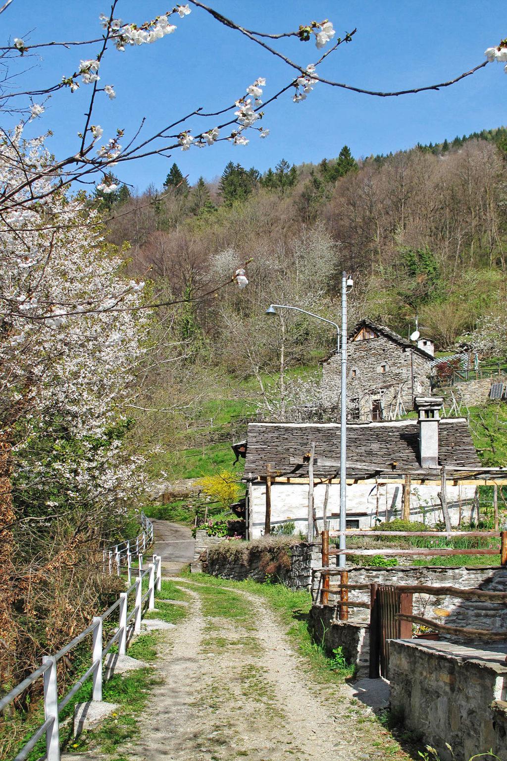 Photo 27 - Maison de 1 chambre à Domodossola avec jardin et terrasse