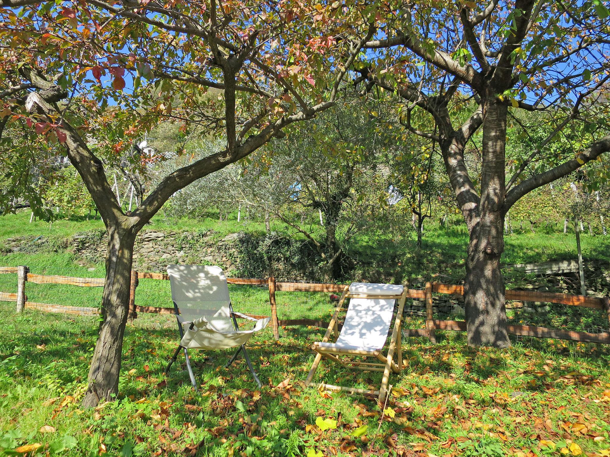 Photo 20 - Maison de 1 chambre à Domodossola avec jardin et terrasse