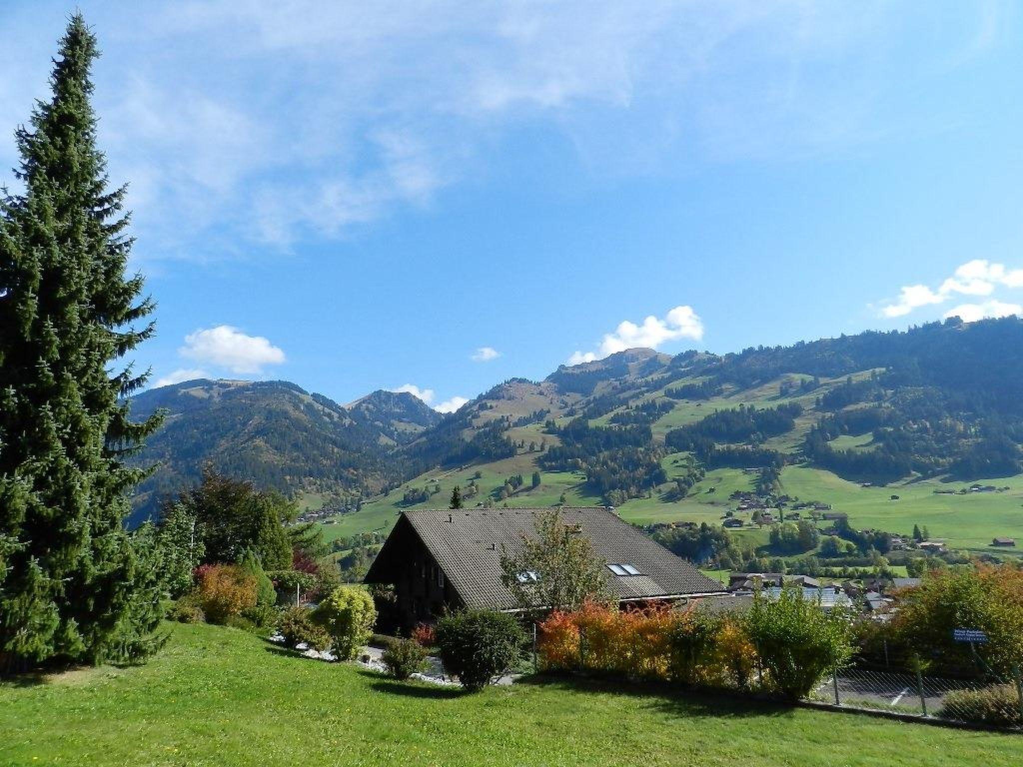 Photo 8 - 1 bedroom Apartment in Zweisimmen