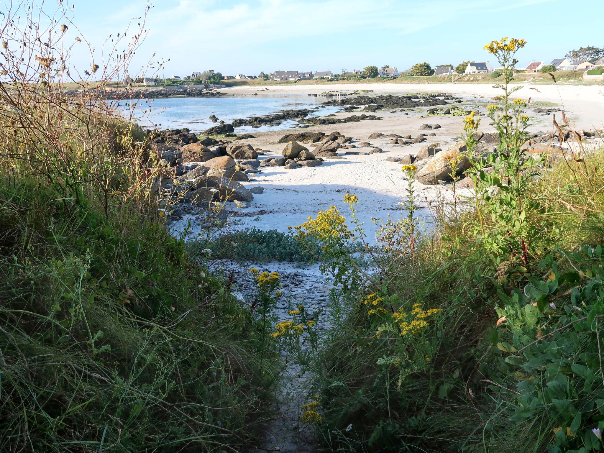 Photo 34 - Maison de 3 chambres à Ploudalmézeau avec jardin et vues à la mer