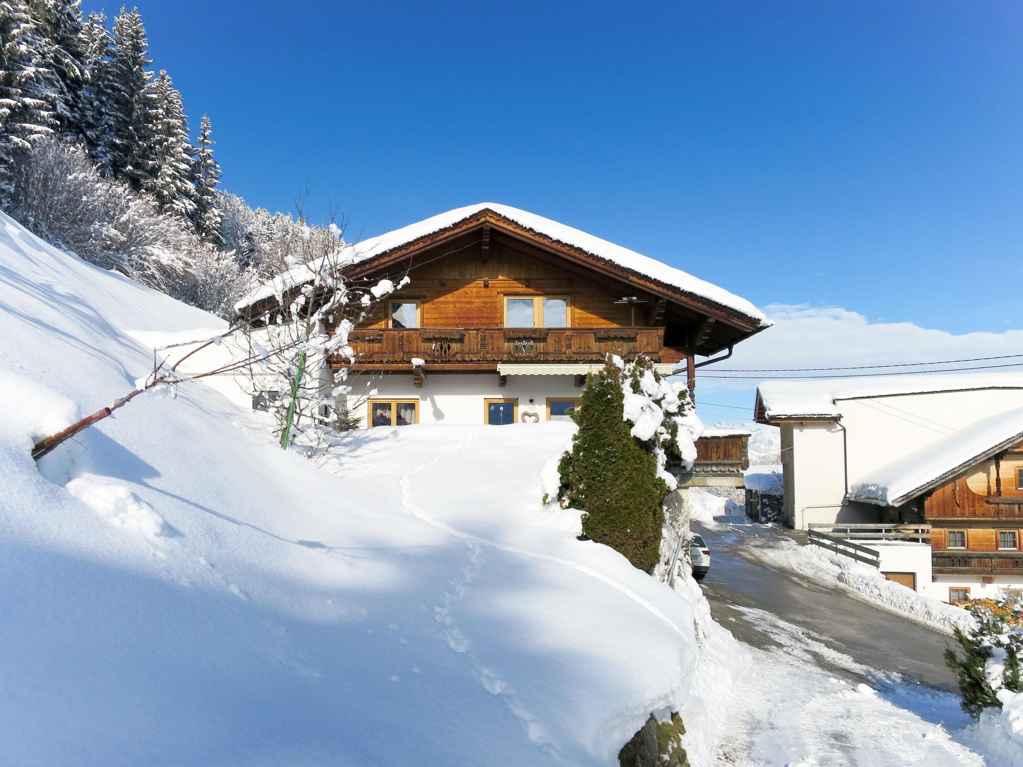 Photo 13 - Appartement de 3 chambres à Kaltenbach avec jardin