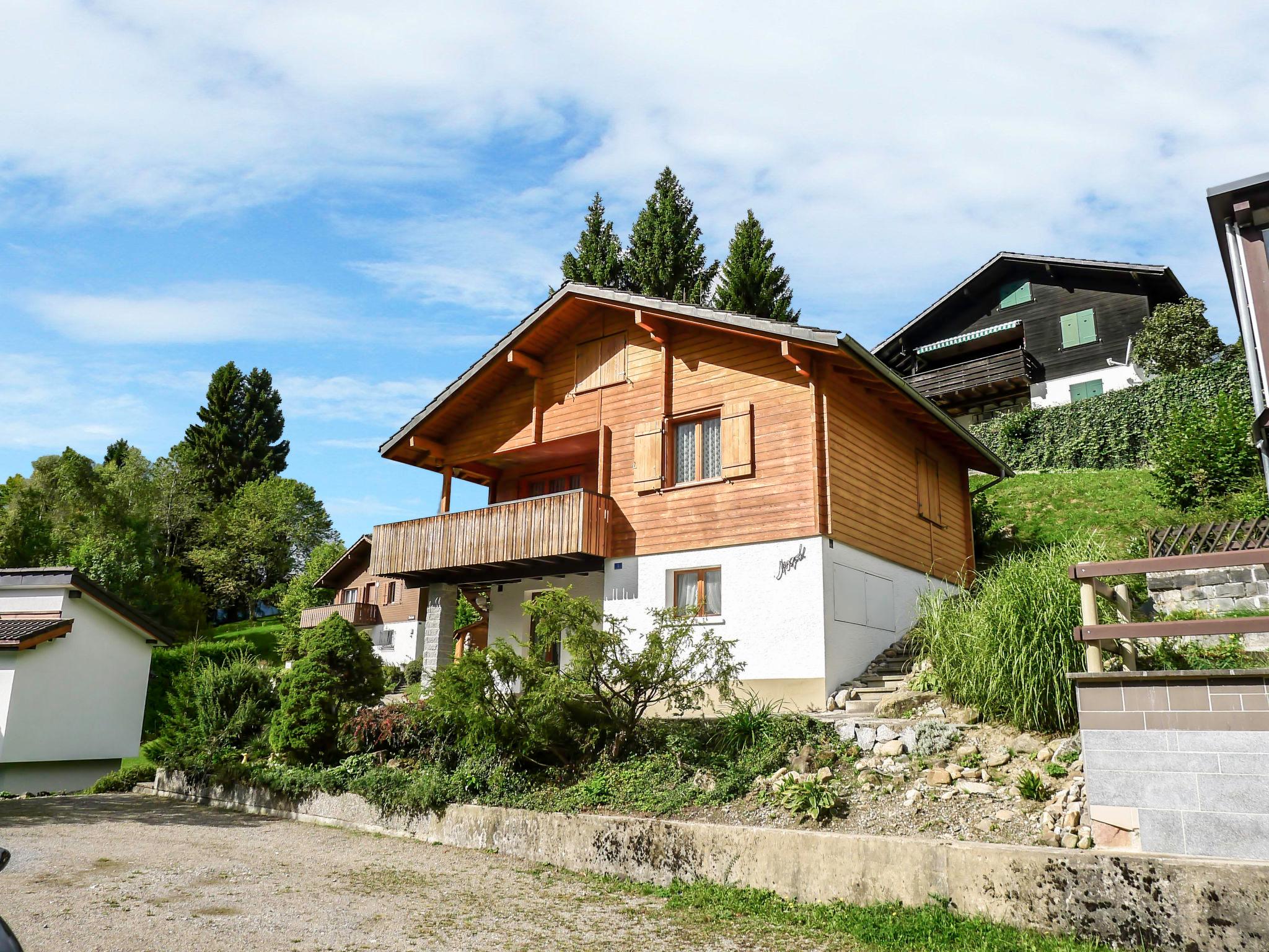 Photo 22 - Maison de 2 chambres à Giswil avec jardin et terrasse