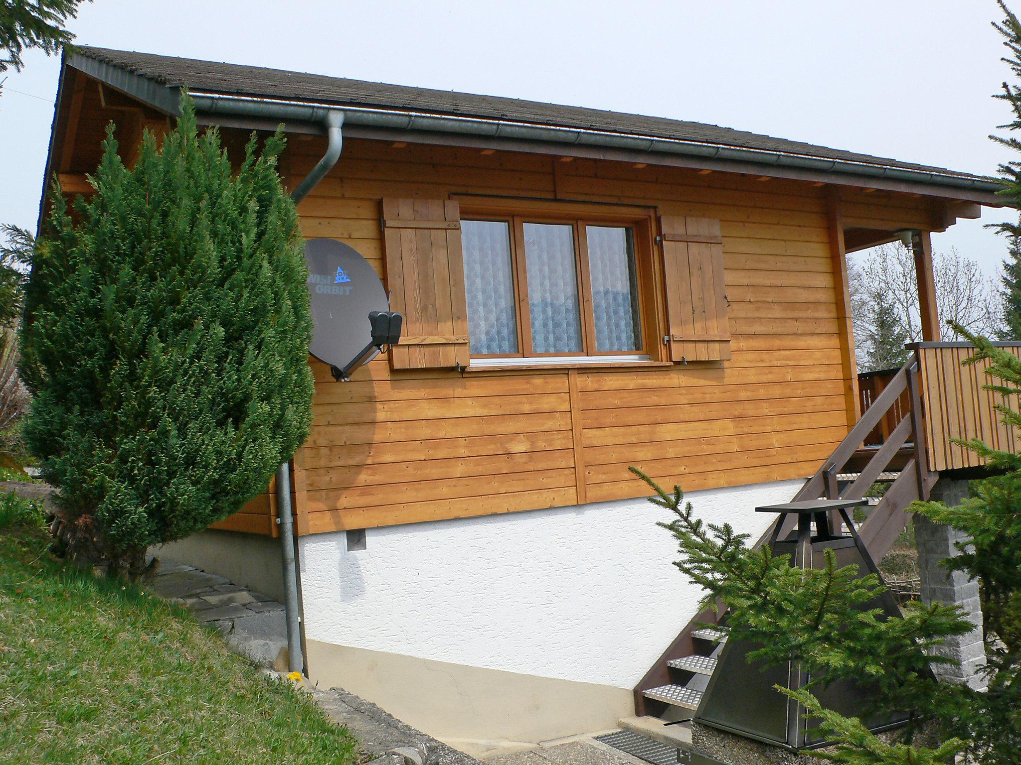 Foto 23 - Casa con 2 camere da letto a Giswil con giardino e terrazza
