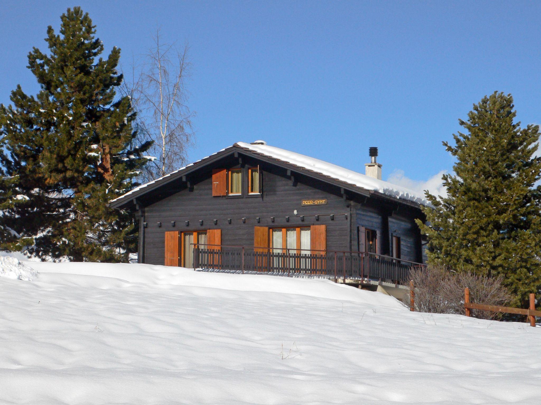 Foto 35 - Casa de 5 quartos em Nendaz com jardim e terraço