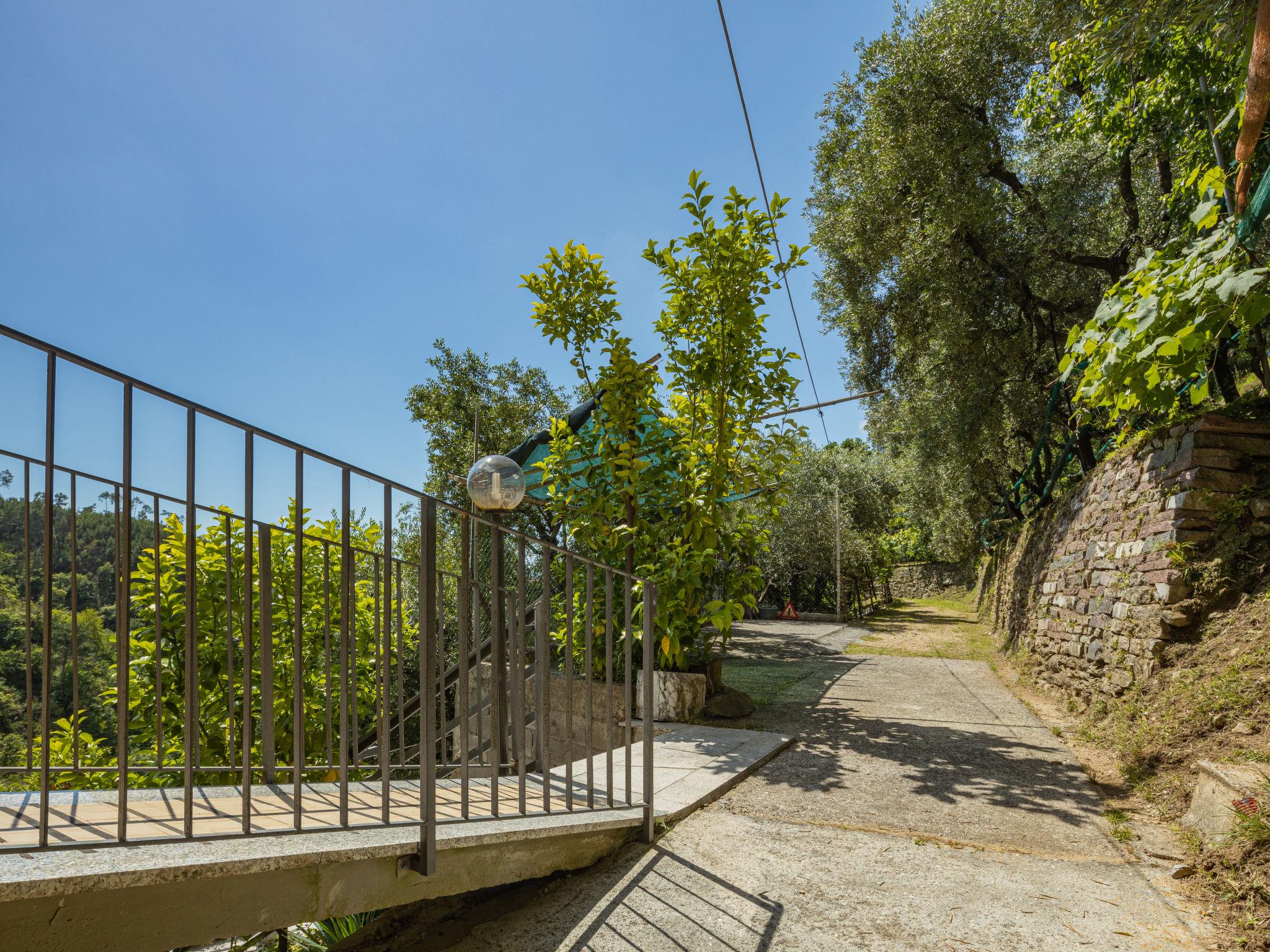 Photo 26 - 2 bedroom House in Montignoso with garden and sea view