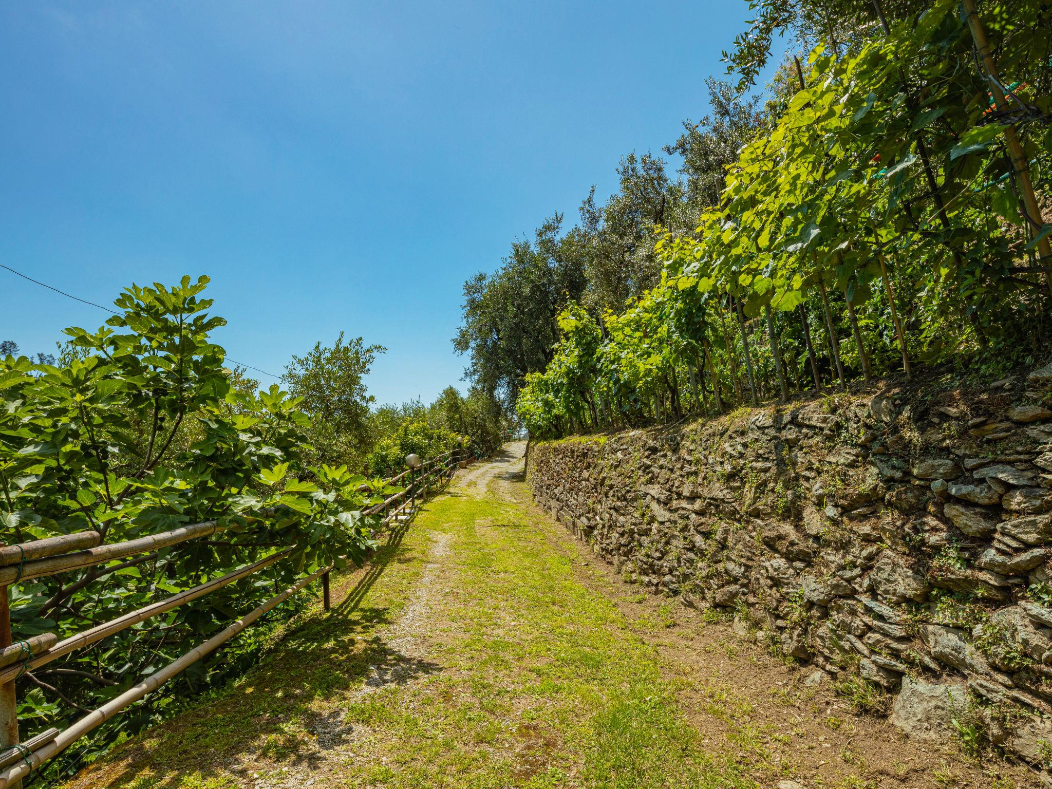 Photo 29 - 2 bedroom House in Montignoso with garden and terrace