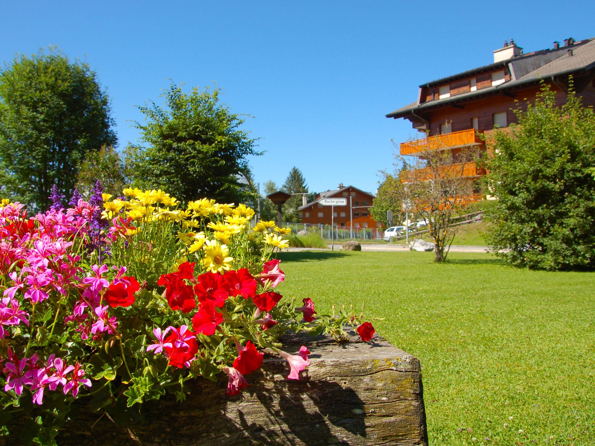 Foto 3 - Apartamento de 2 quartos em Ollon com jardim e terraço