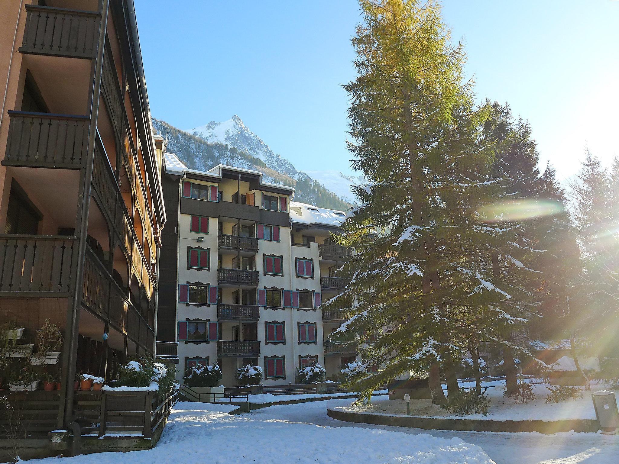 Foto 20 - Apartamento de 1 quarto em Chamonix-Mont-Blanc com vista para a montanha