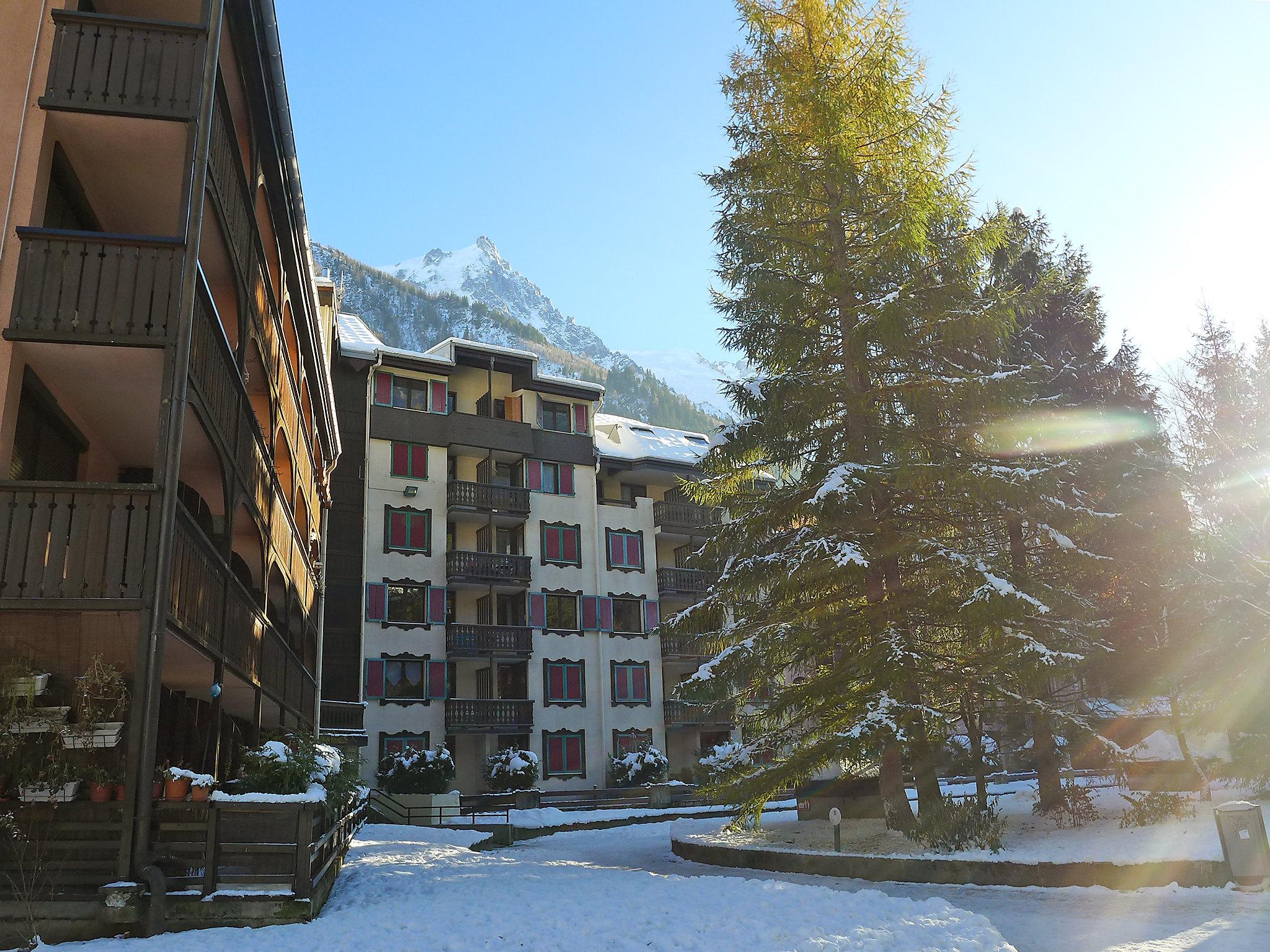 Foto 18 - Apartamento de 1 quarto em Chamonix-Mont-Blanc