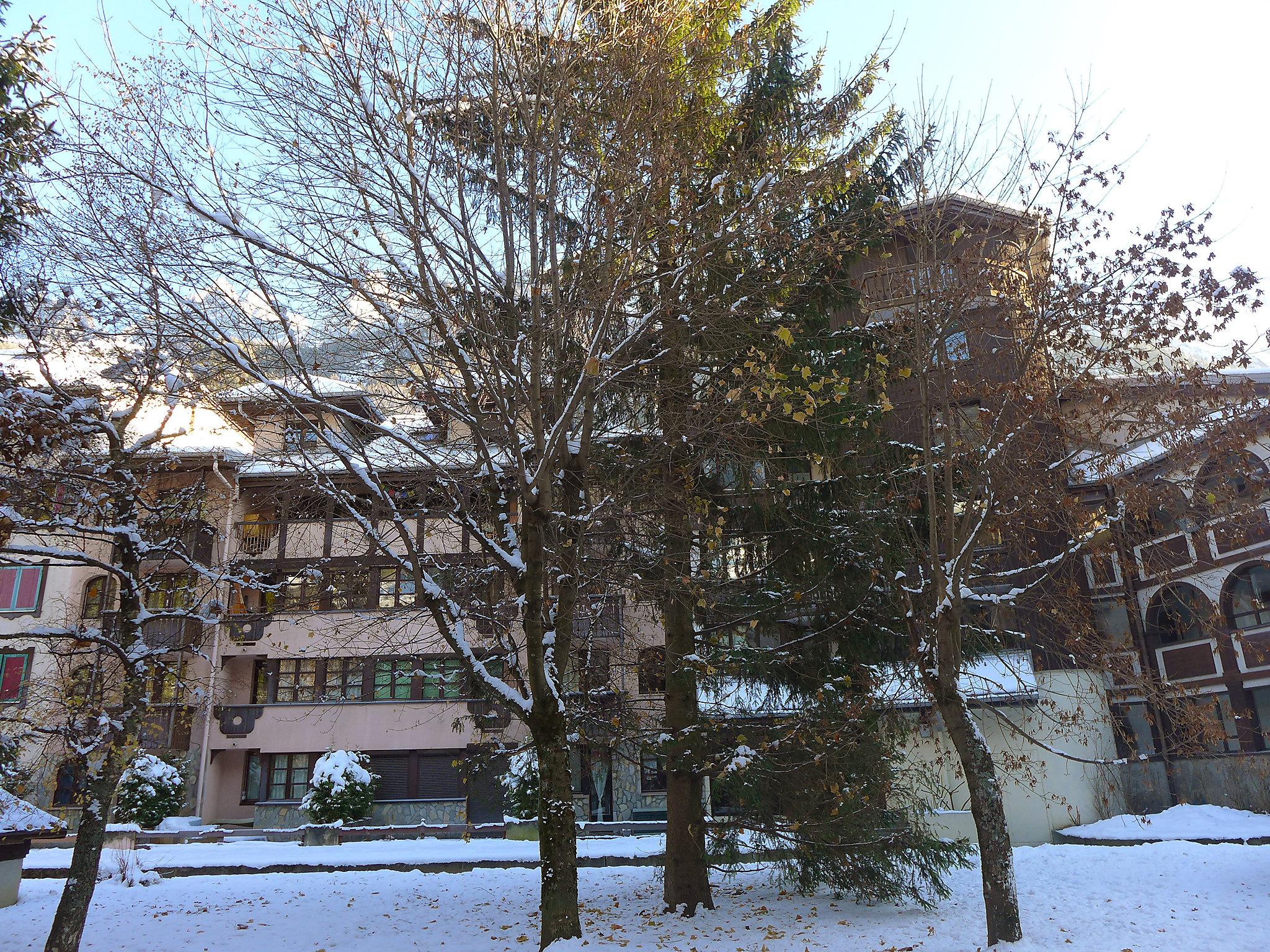 Foto 18 - Apartamento de 1 habitación en Chamonix-Mont-Blanc con vistas a la montaña