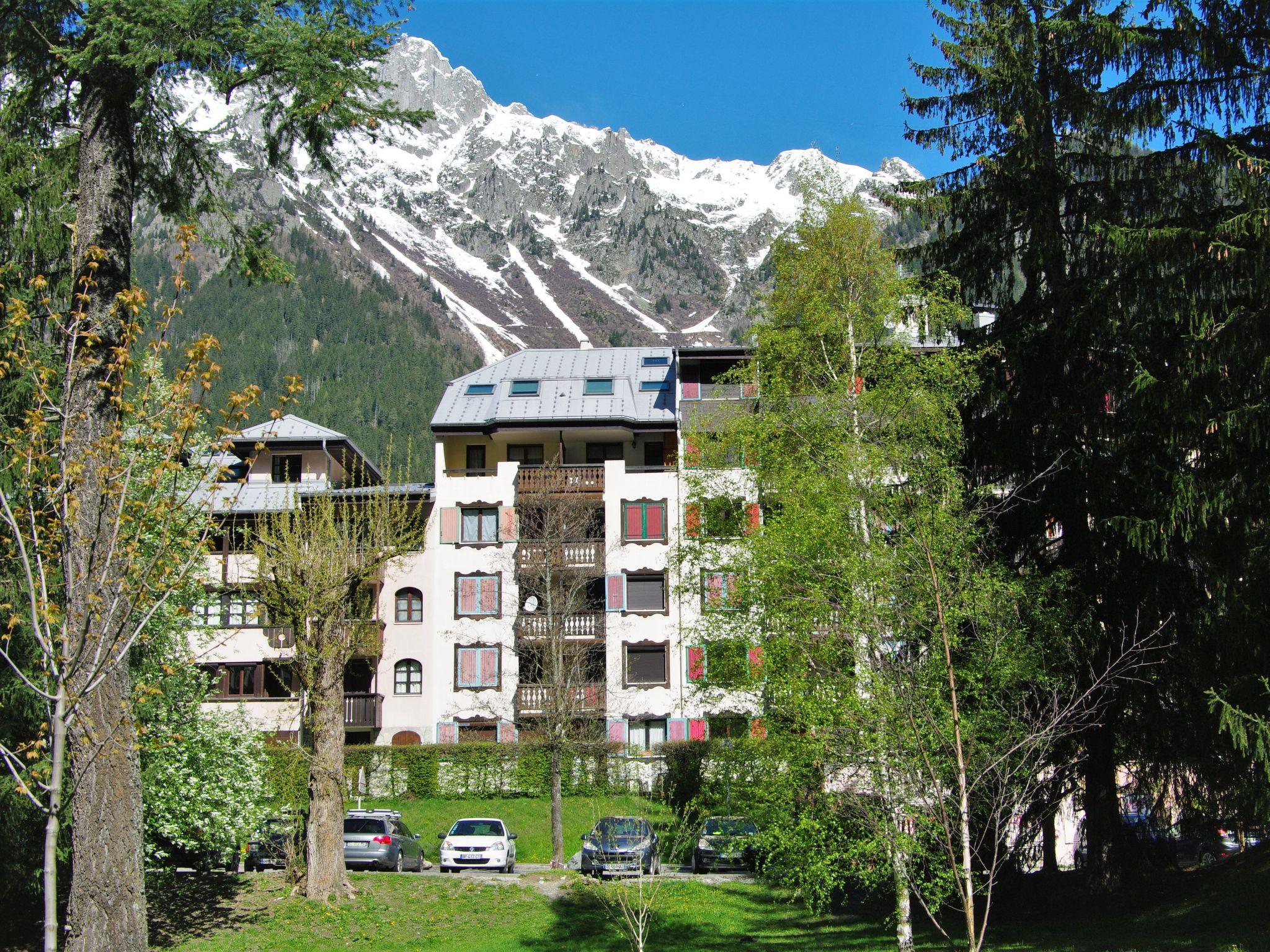 Foto 1 - Apartamento de 1 habitación en Chamonix-Mont-Blanc con vistas a la montaña