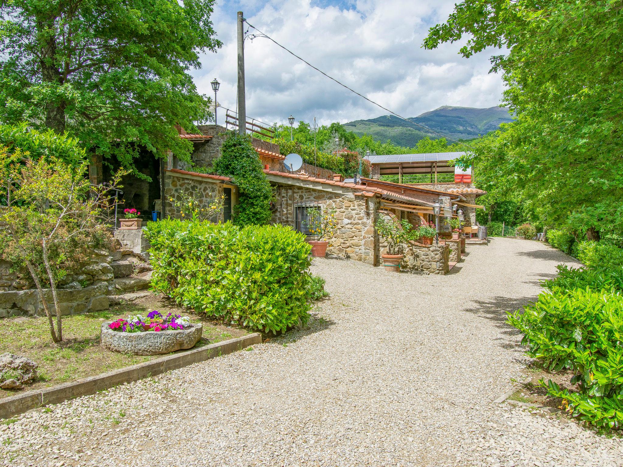 Photo 28 - Maison de 2 chambres à Loro Ciuffenna avec piscine et jardin