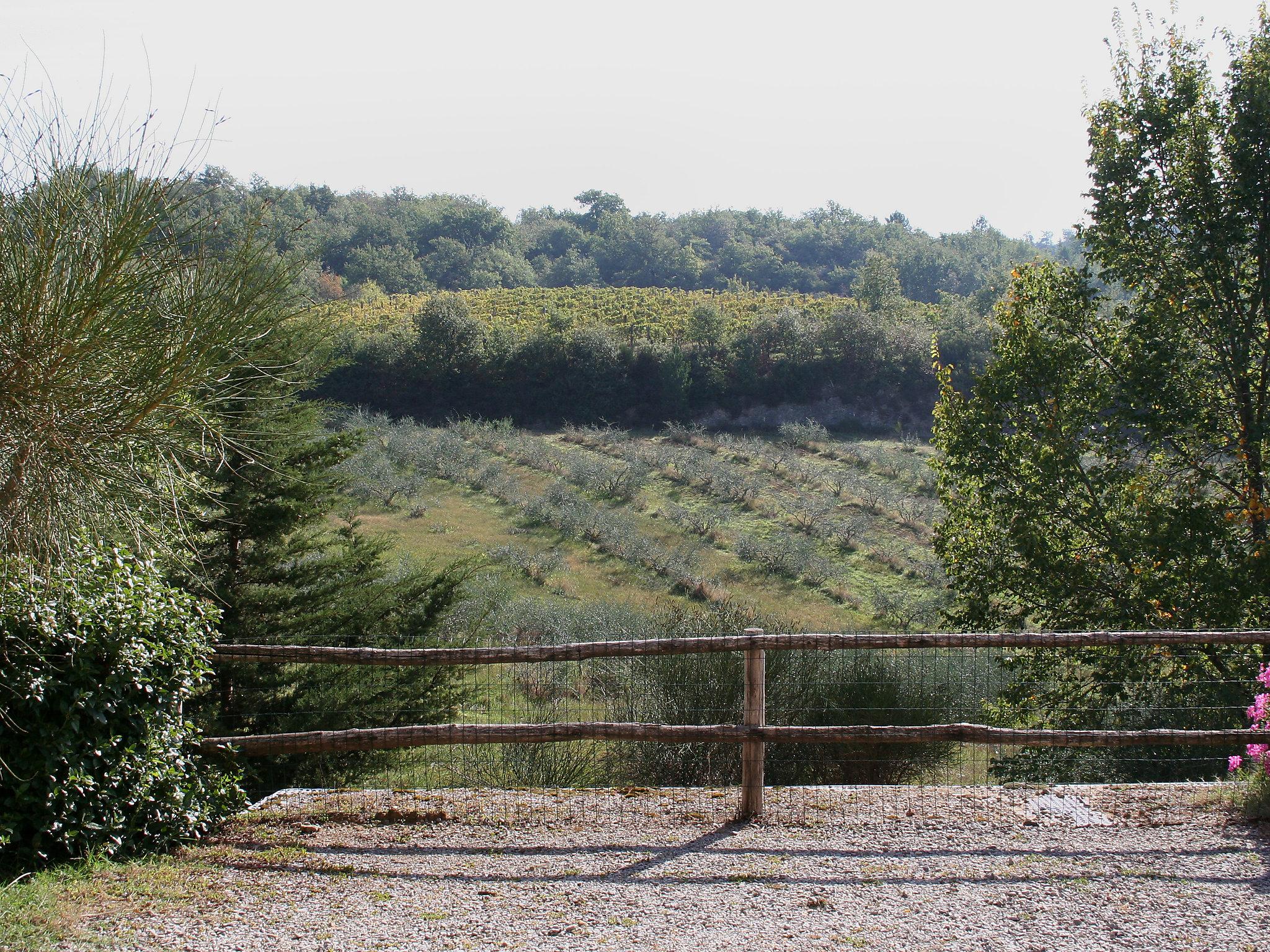 Photo 8 - 2 bedroom Apartment in Gaiole in Chianti with swimming pool and garden