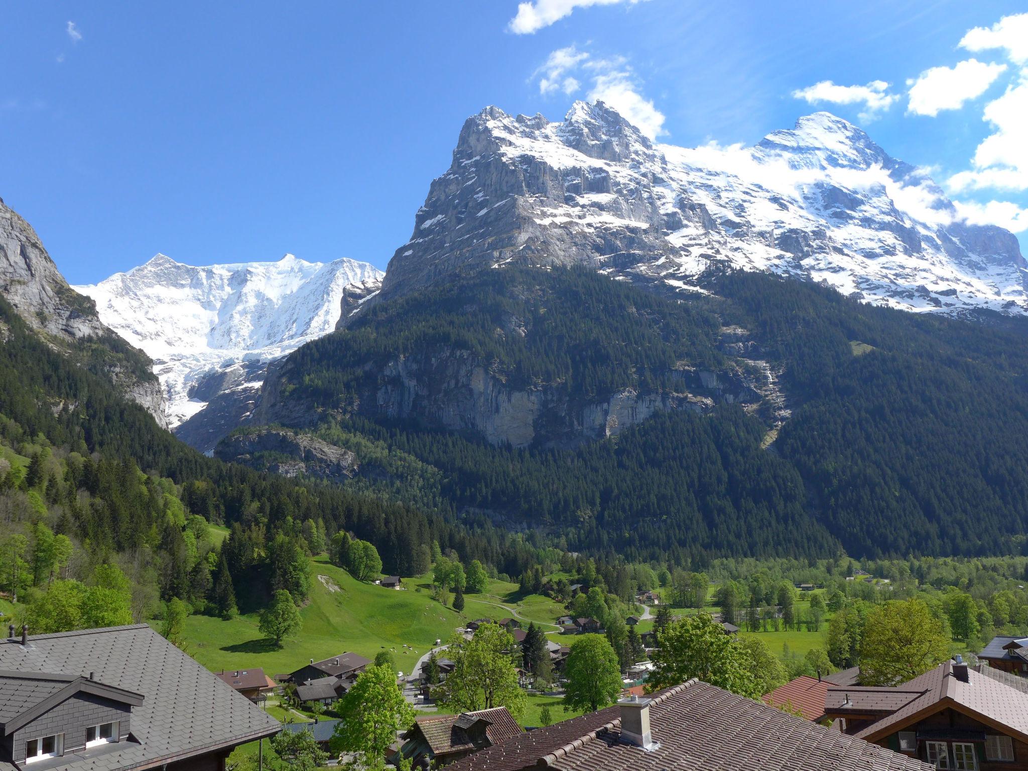 Foto 28 - Appartamento con 4 camere da letto a Grindelwald con sauna e vista sulle montagne