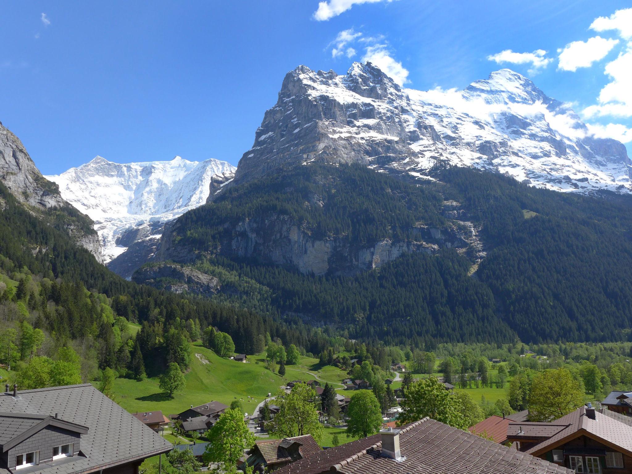 Foto 30 - Appartamento con 4 camere da letto a Grindelwald con sauna