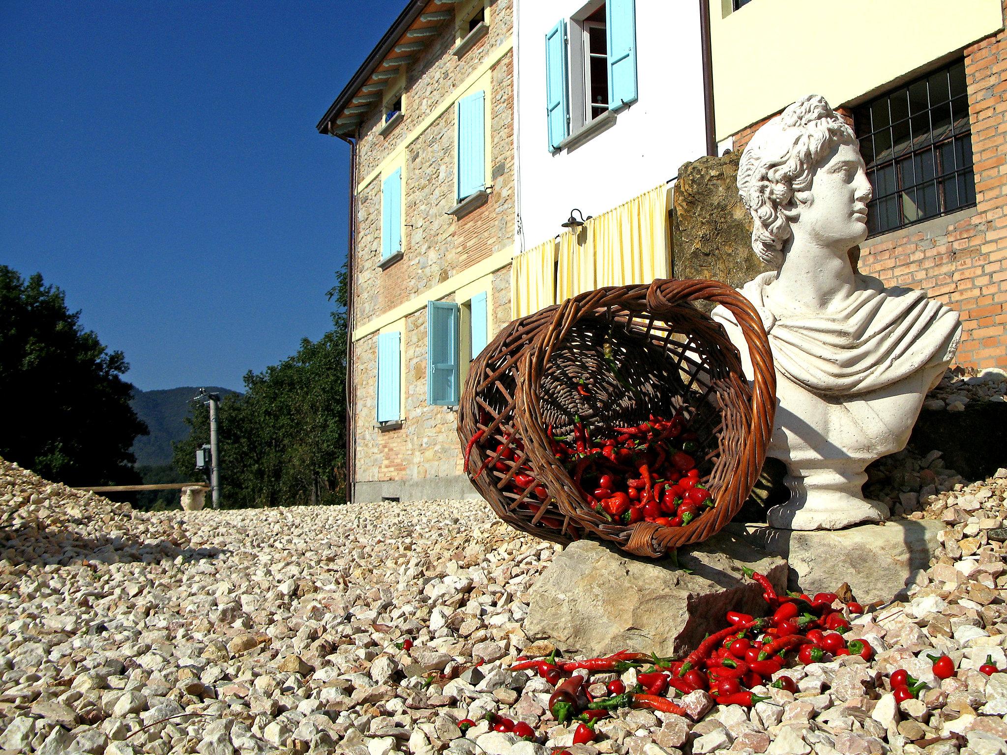 Foto 26 - Casa de 3 quartos em Salsomaggiore Terme com piscina e jardim