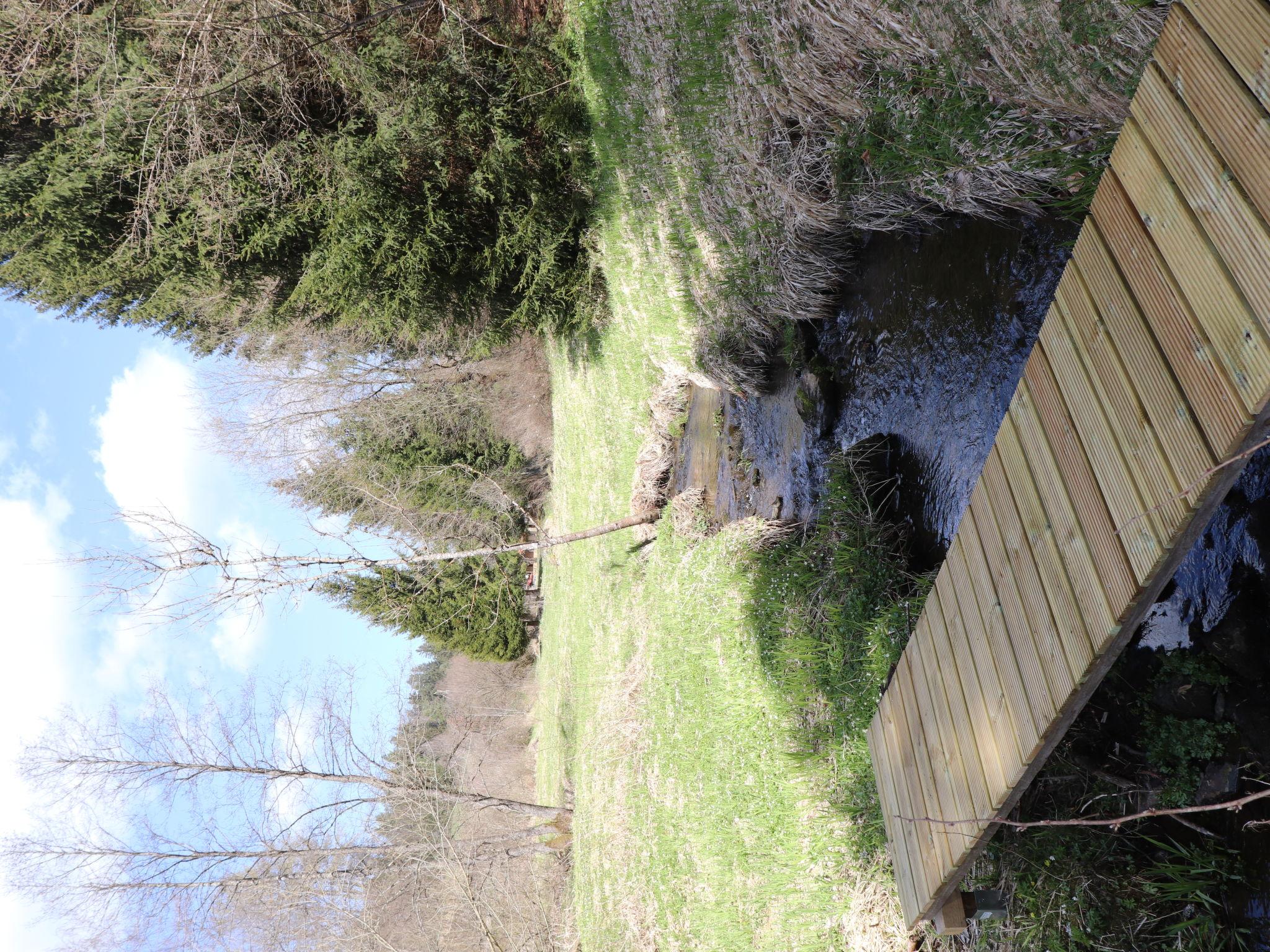 Photo 35 - Maison de 1 chambre à Spiegelau avec piscine et vues sur la montagne