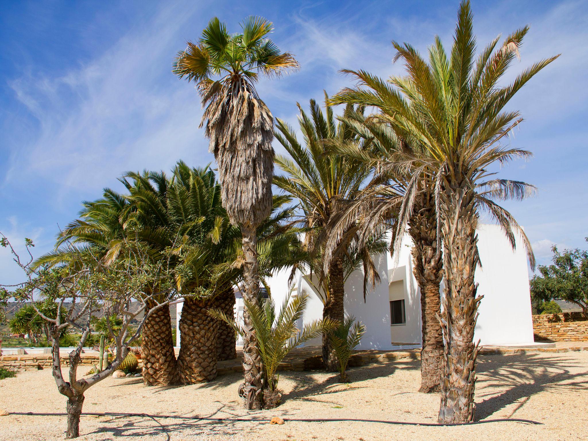 Photo 22 - Maison de 2 chambres à Los Gallardos avec piscine privée et vues à la mer