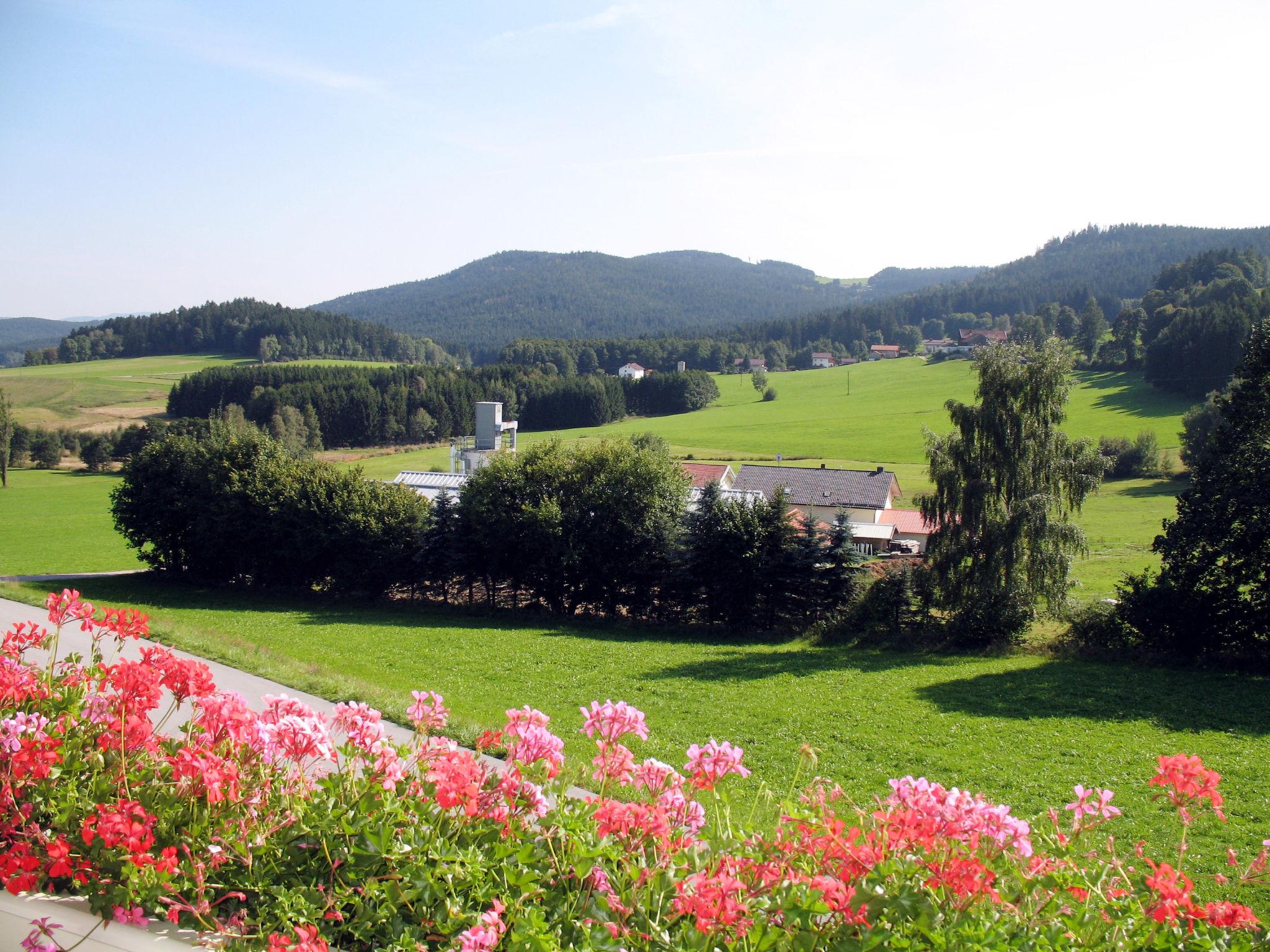 Photo 2 - Appartement de 2 chambres à Zachenberg avec jardin et vues sur la montagne