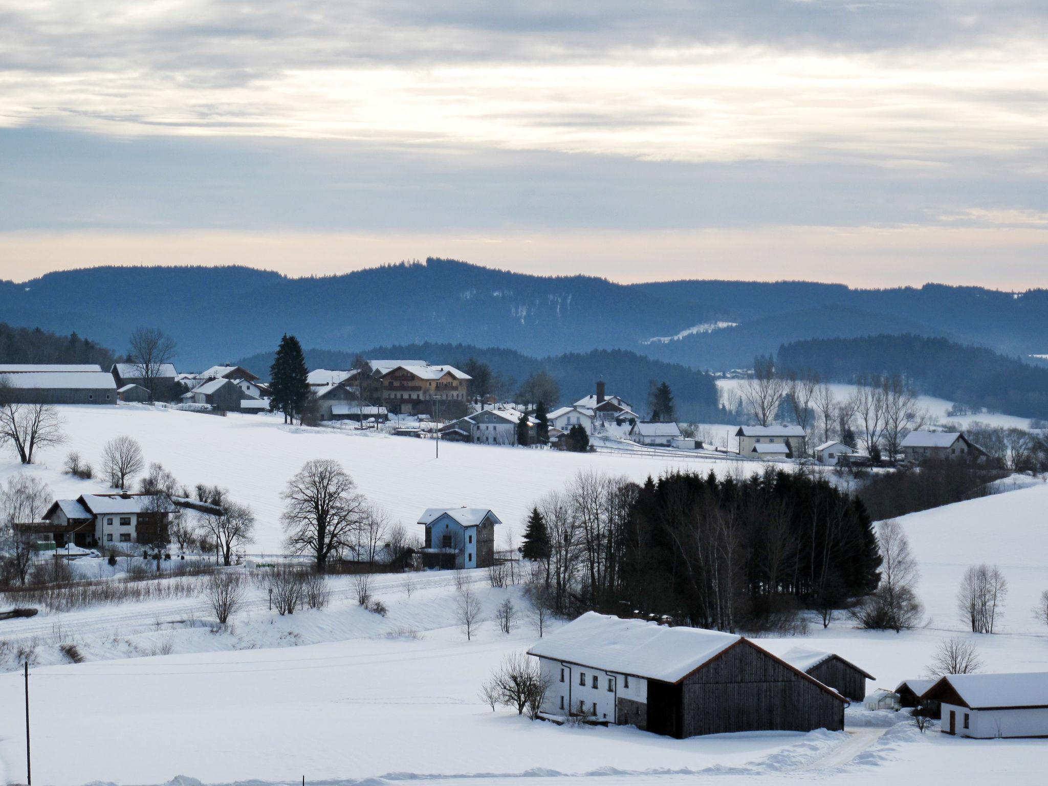 Photo 20 - 2 bedroom Apartment in Zachenberg with garden and mountain view