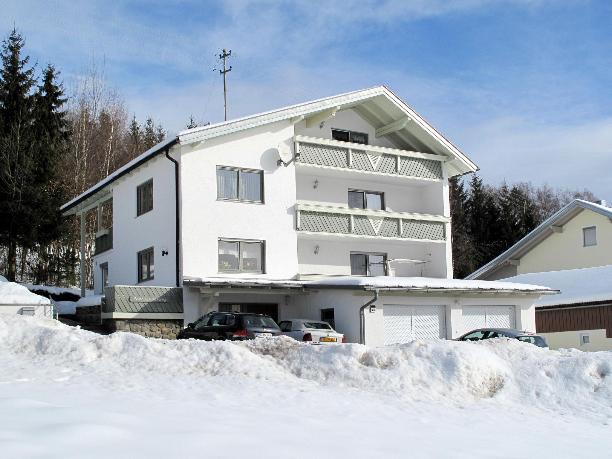 Photo 21 - Appartement de 2 chambres à Zachenberg avec jardin et vues sur la montagne