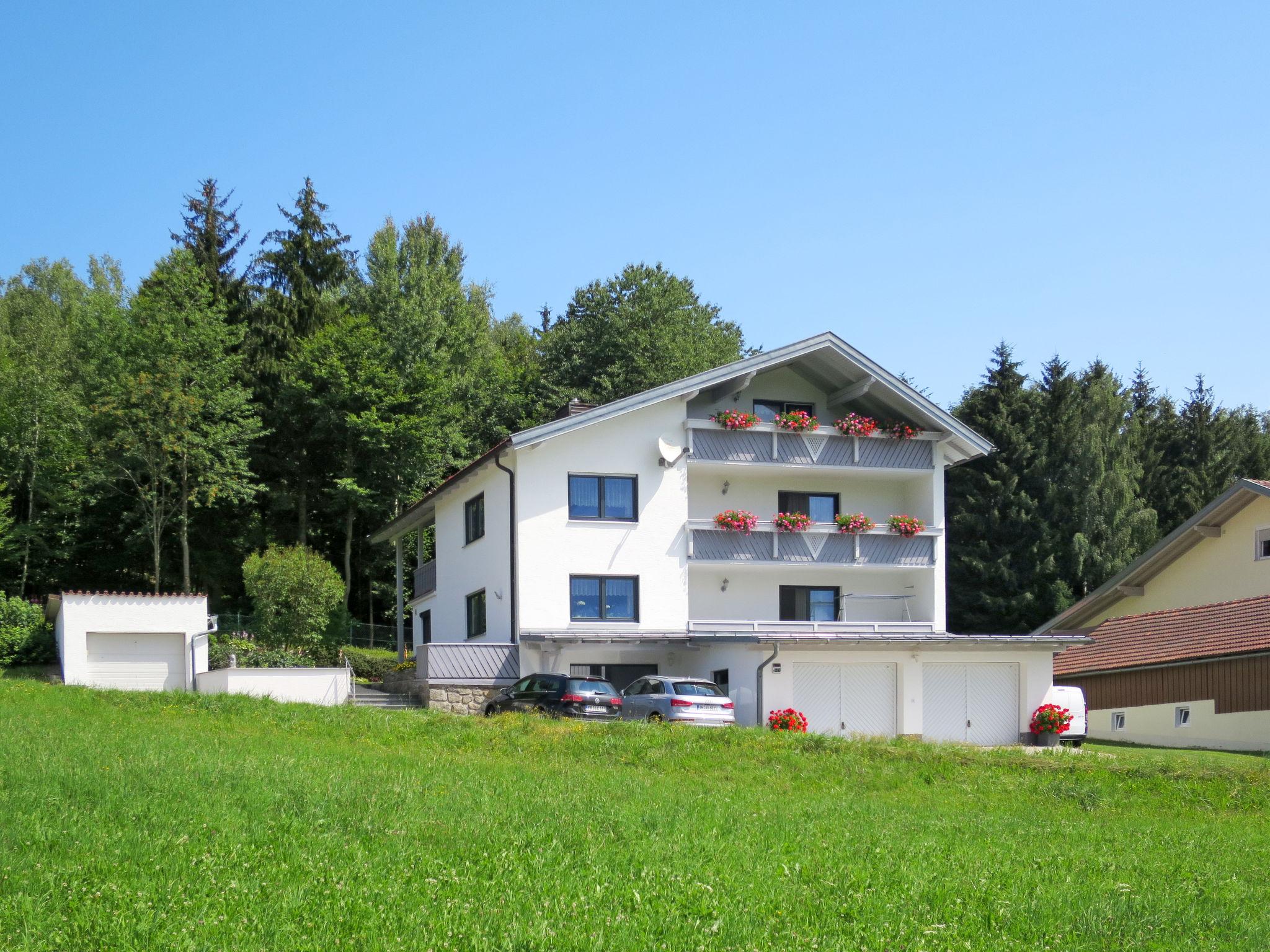 Foto 6 - Appartamento con 2 camere da letto a Zachenberg con giardino e vista sulle montagne