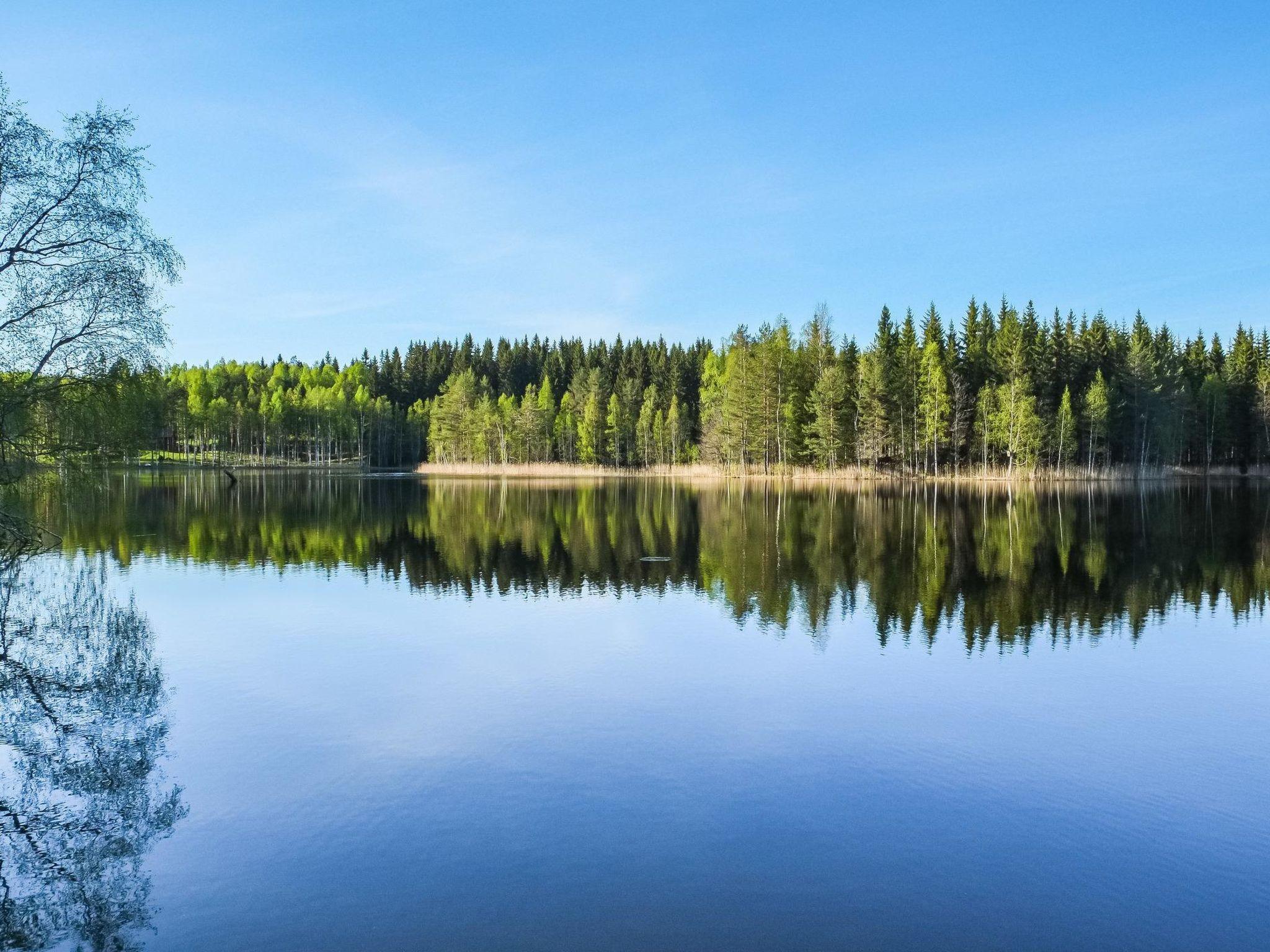 Foto 5 - Haus mit 1 Schlafzimmer in Tohmajärvi mit sauna