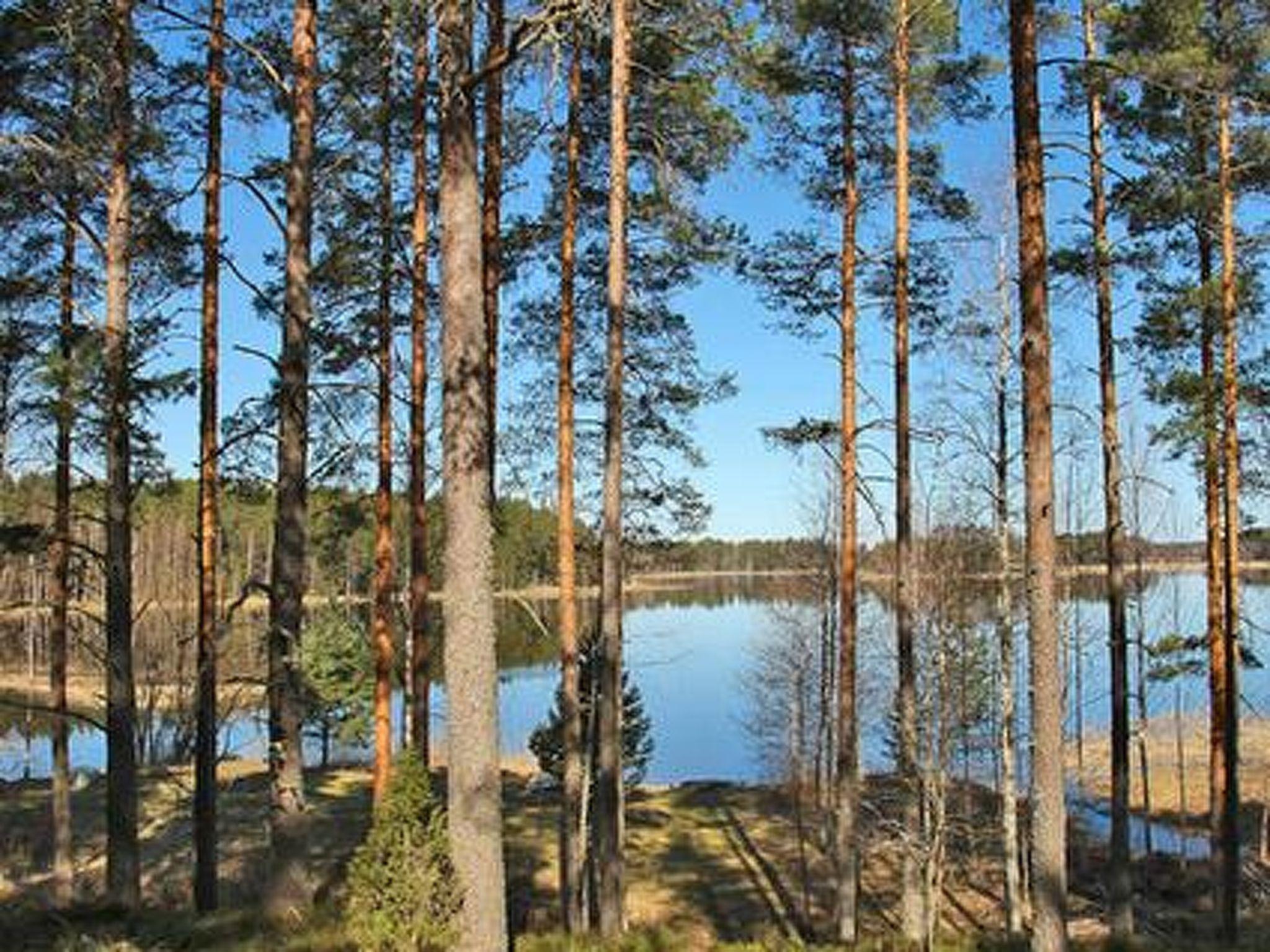 Photo 2 - Maison de 2 chambres à Asikkala avec sauna