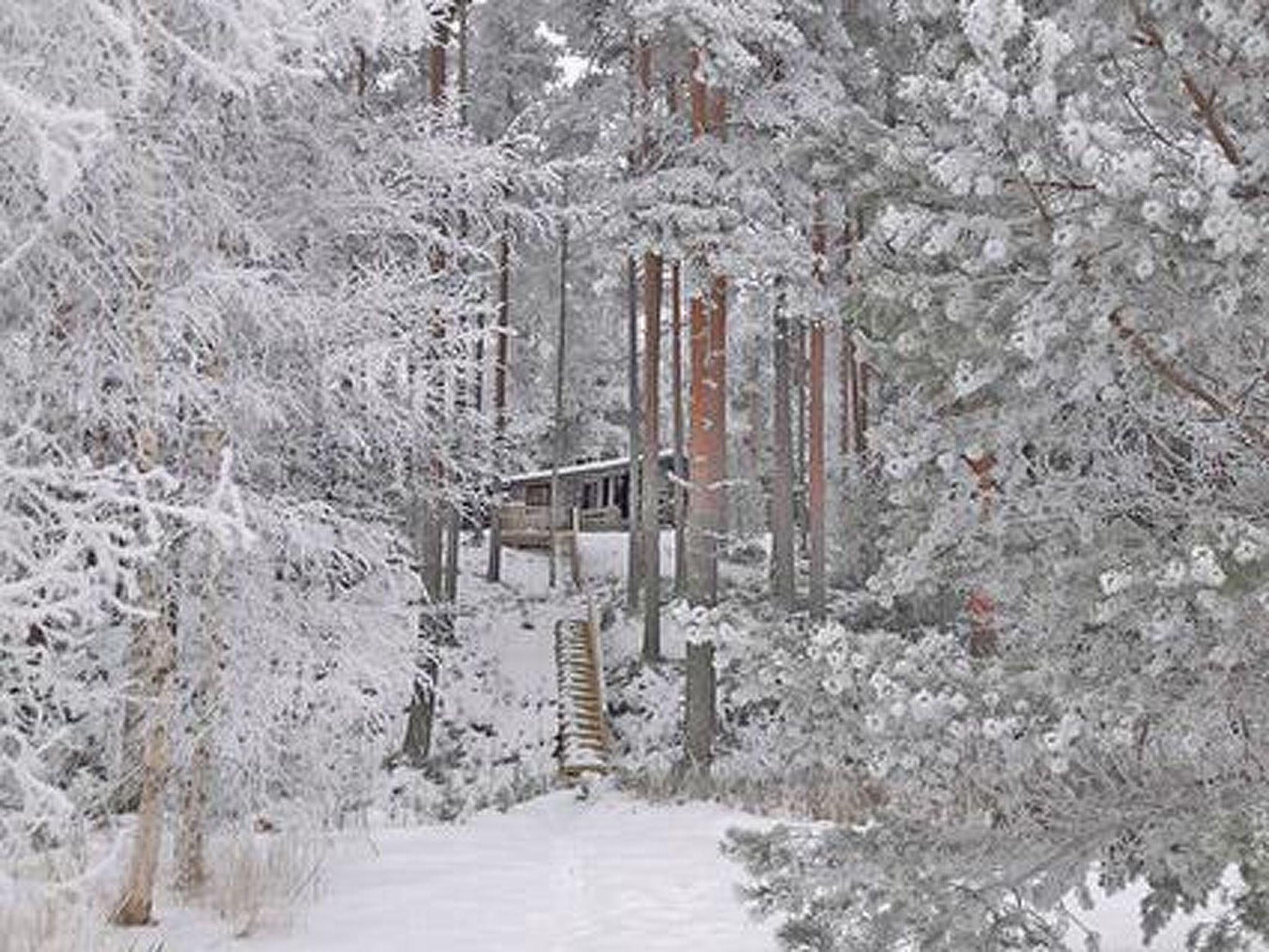 Foto 4 - Haus mit 2 Schlafzimmern in Asikkala mit sauna