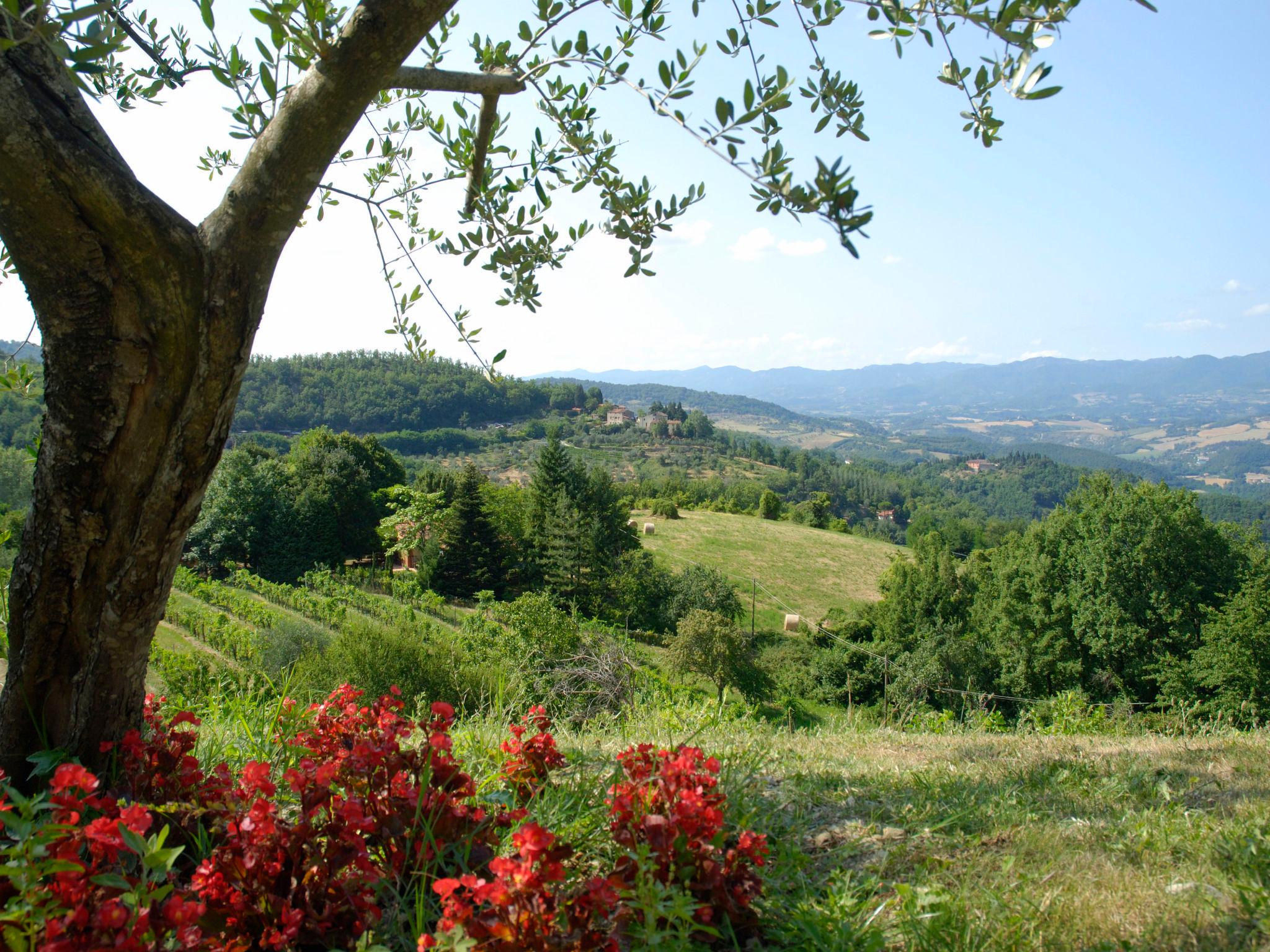 Photo 24 - 2 bedroom Apartment in Dicomano with swimming pool and garden