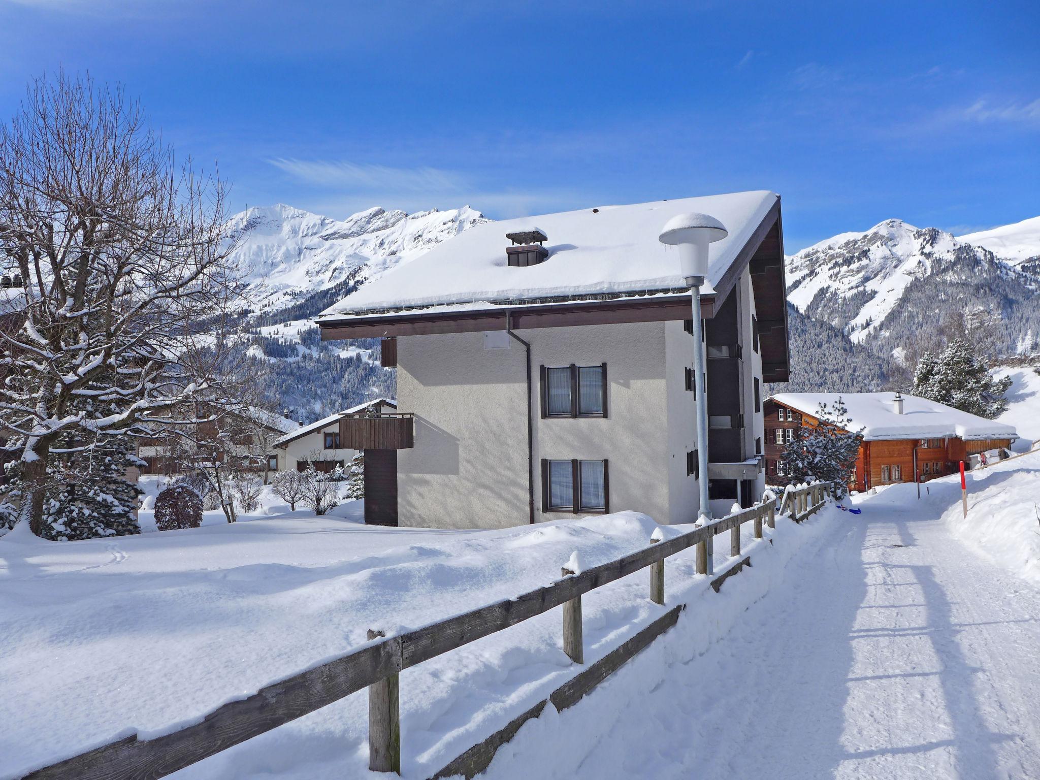 Foto 20 - Apartamento de 2 quartos em Lauterbrunnen com jardim e terraço