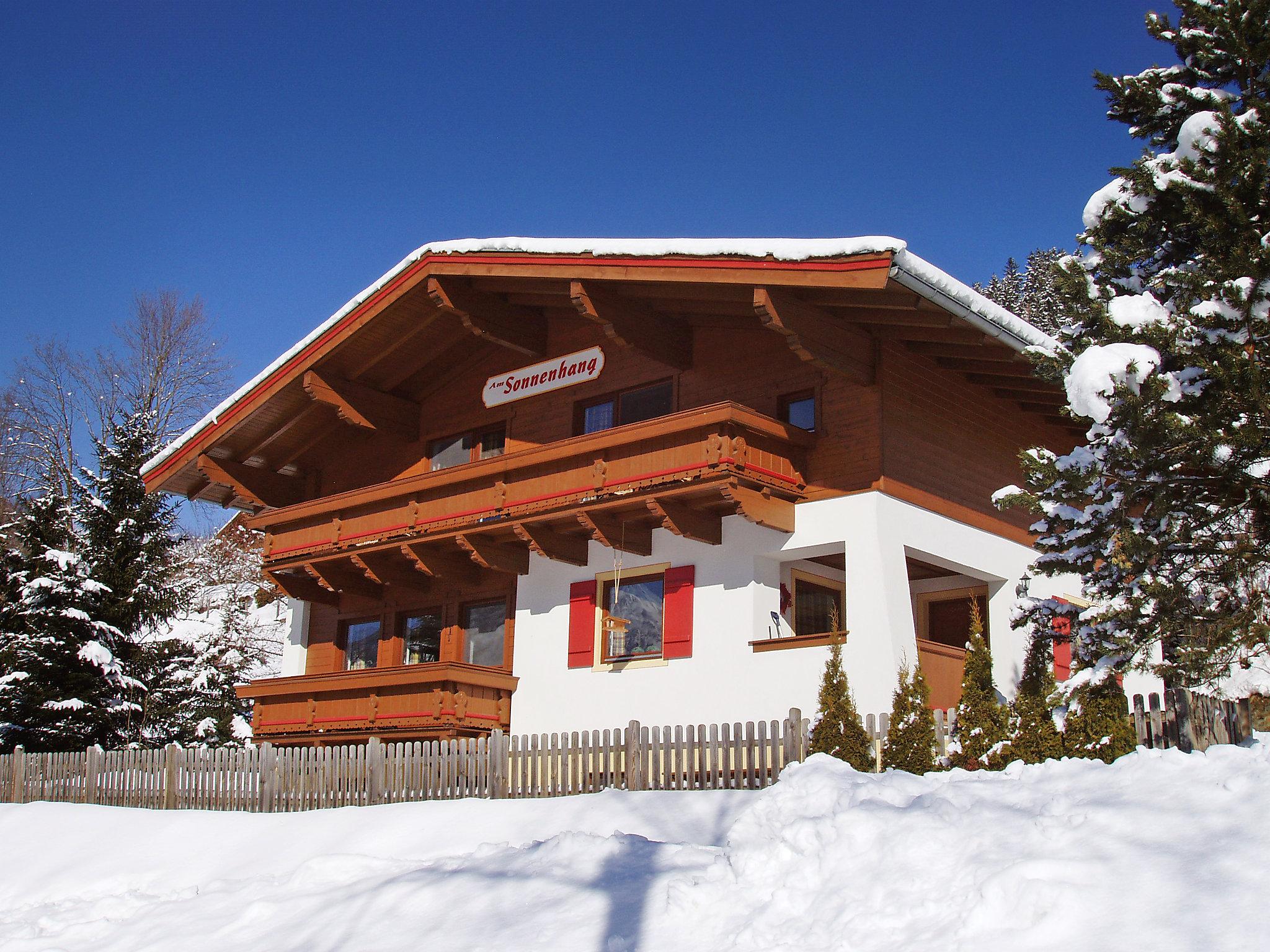 Photo 20 - Maison de 4 chambres à Mittersill avec jardin et vues sur la montagne