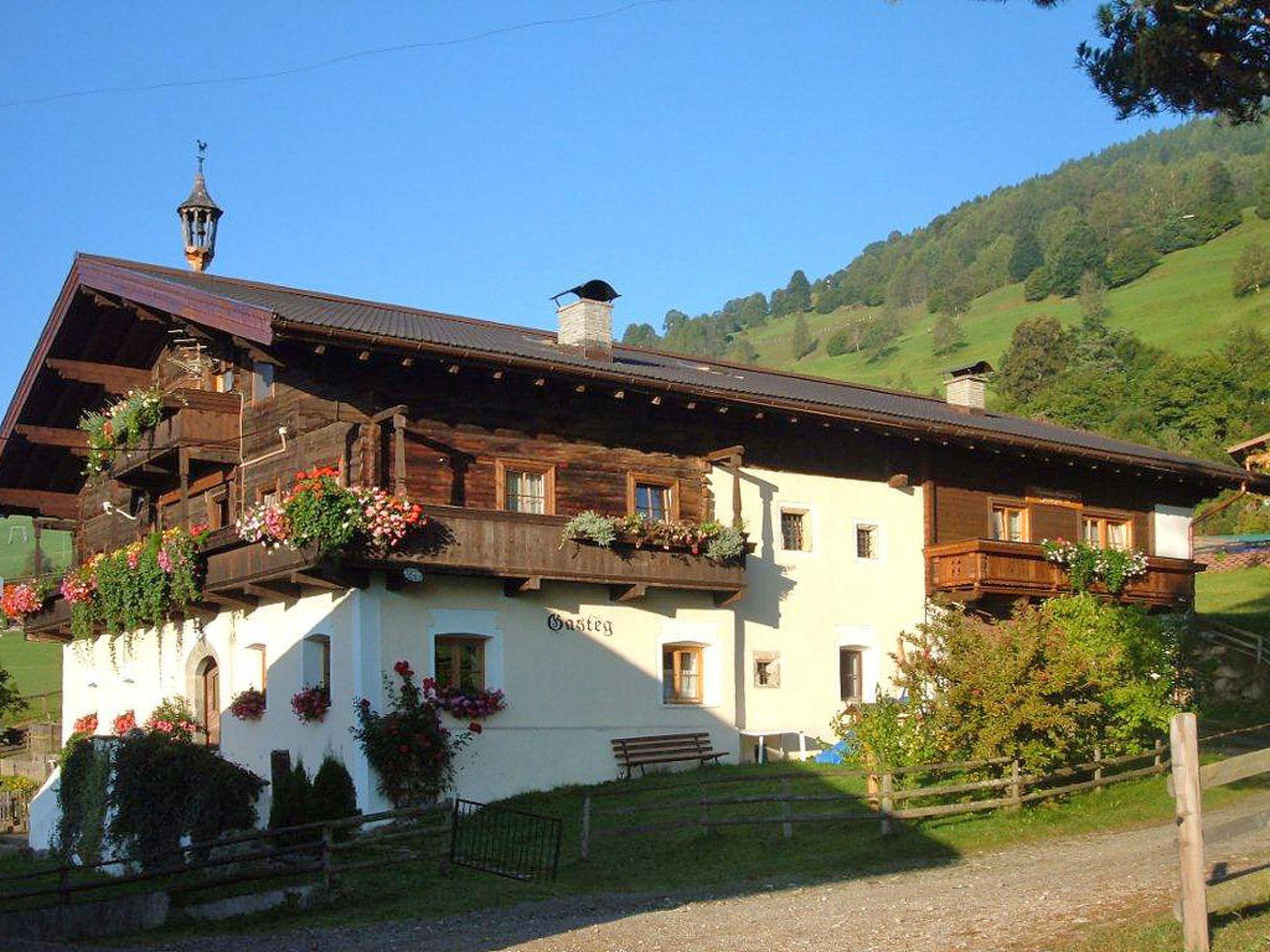 Photo 23 - 2 bedroom Apartment in Piesendorf with garden and mountain view