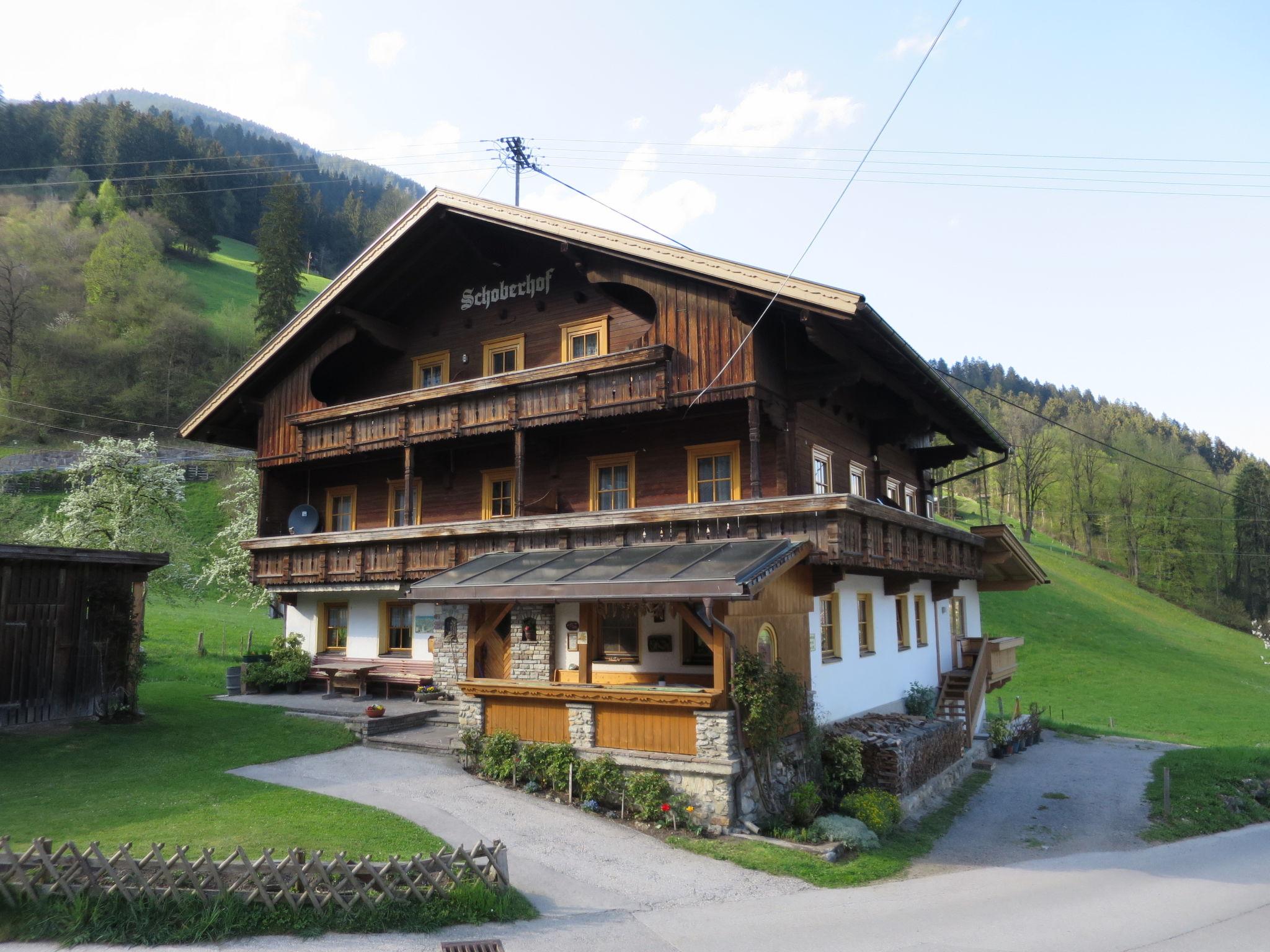 Foto 1 - Apartamento de 6 habitaciones en Schwendau con vistas a la montaña