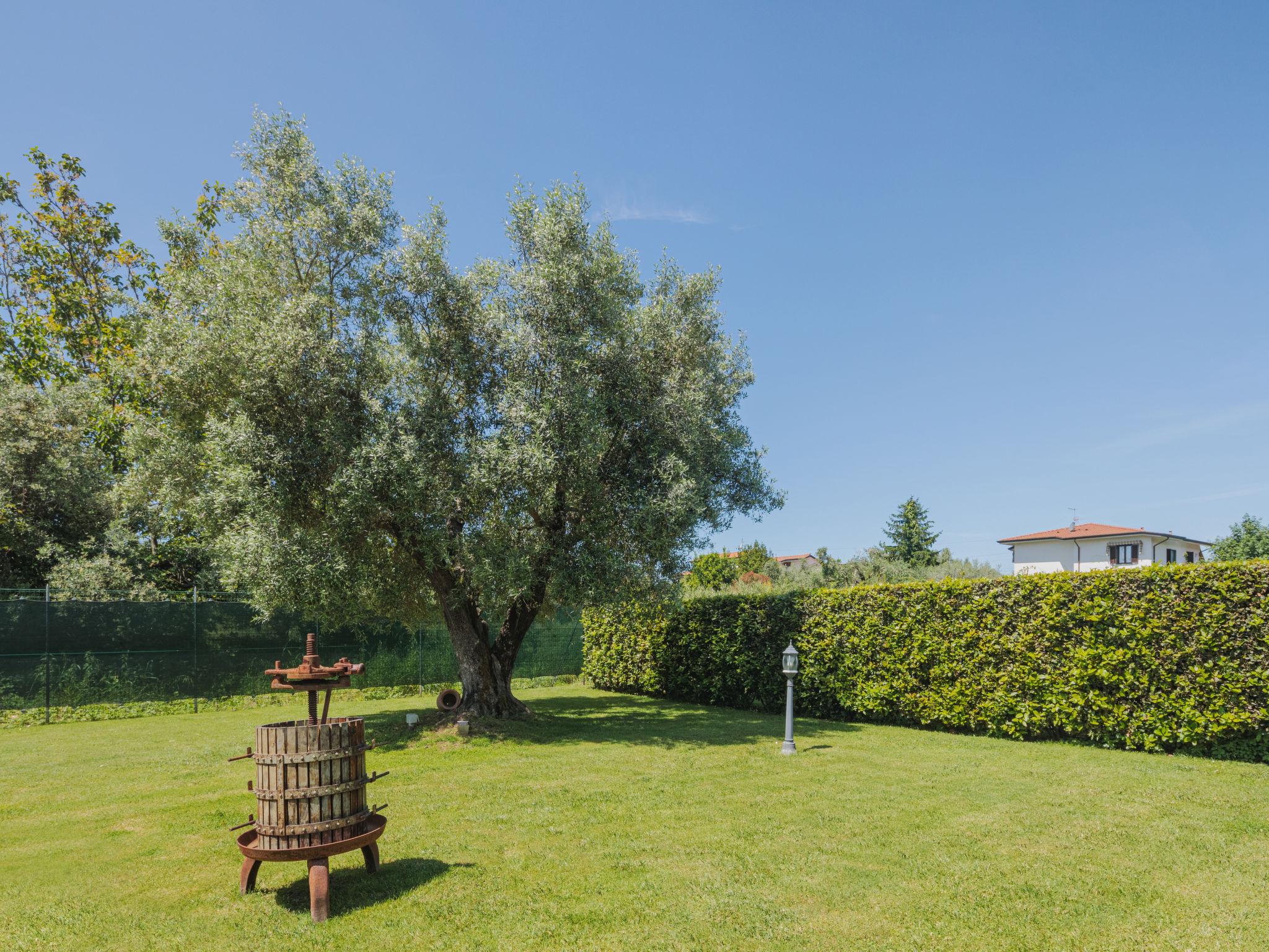 Photo 19 - Maison de 1 chambre à Massa avec jardin et terrasse