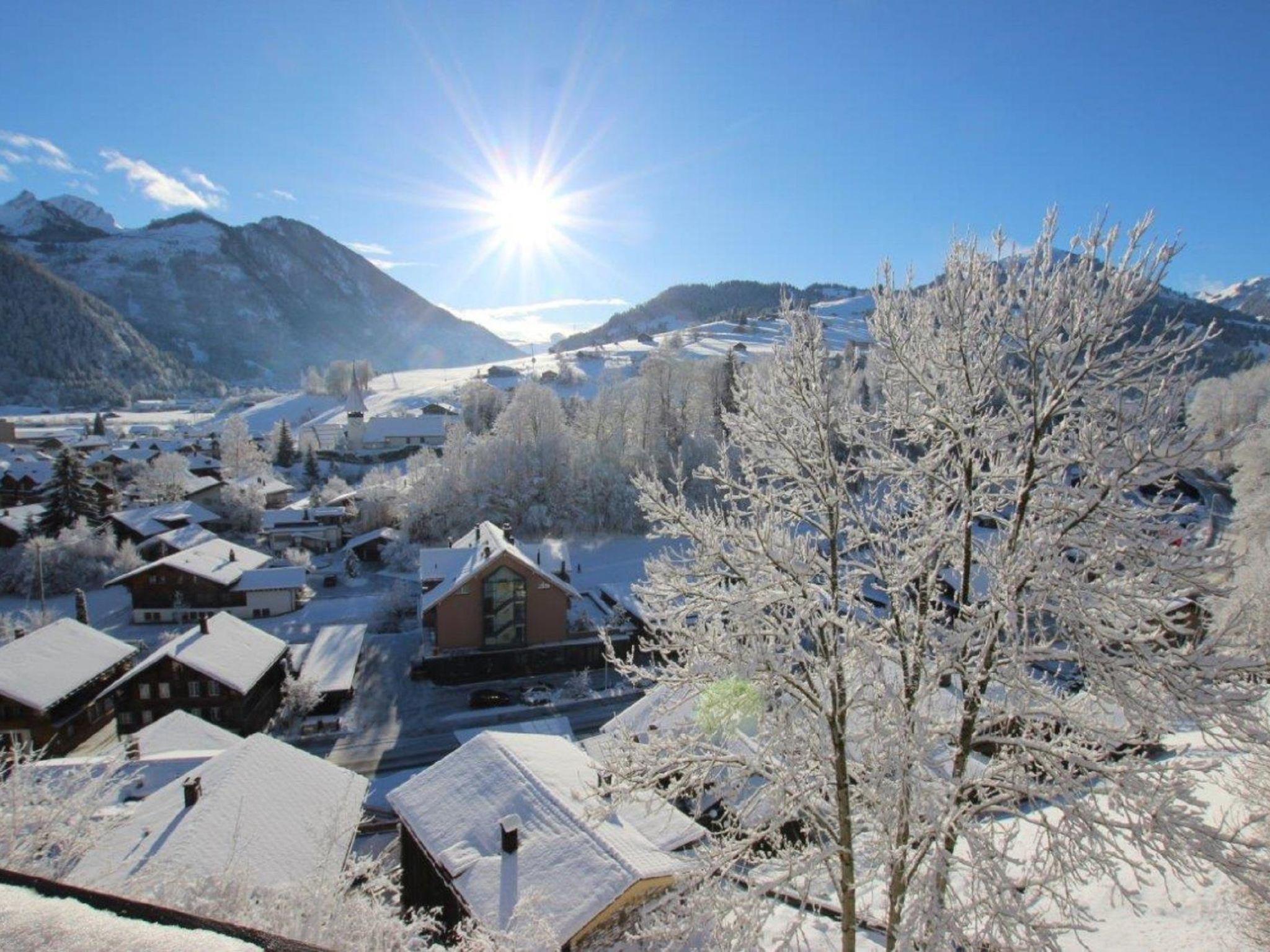 Photo 11 - 2 bedroom Apartment in Zweisimmen