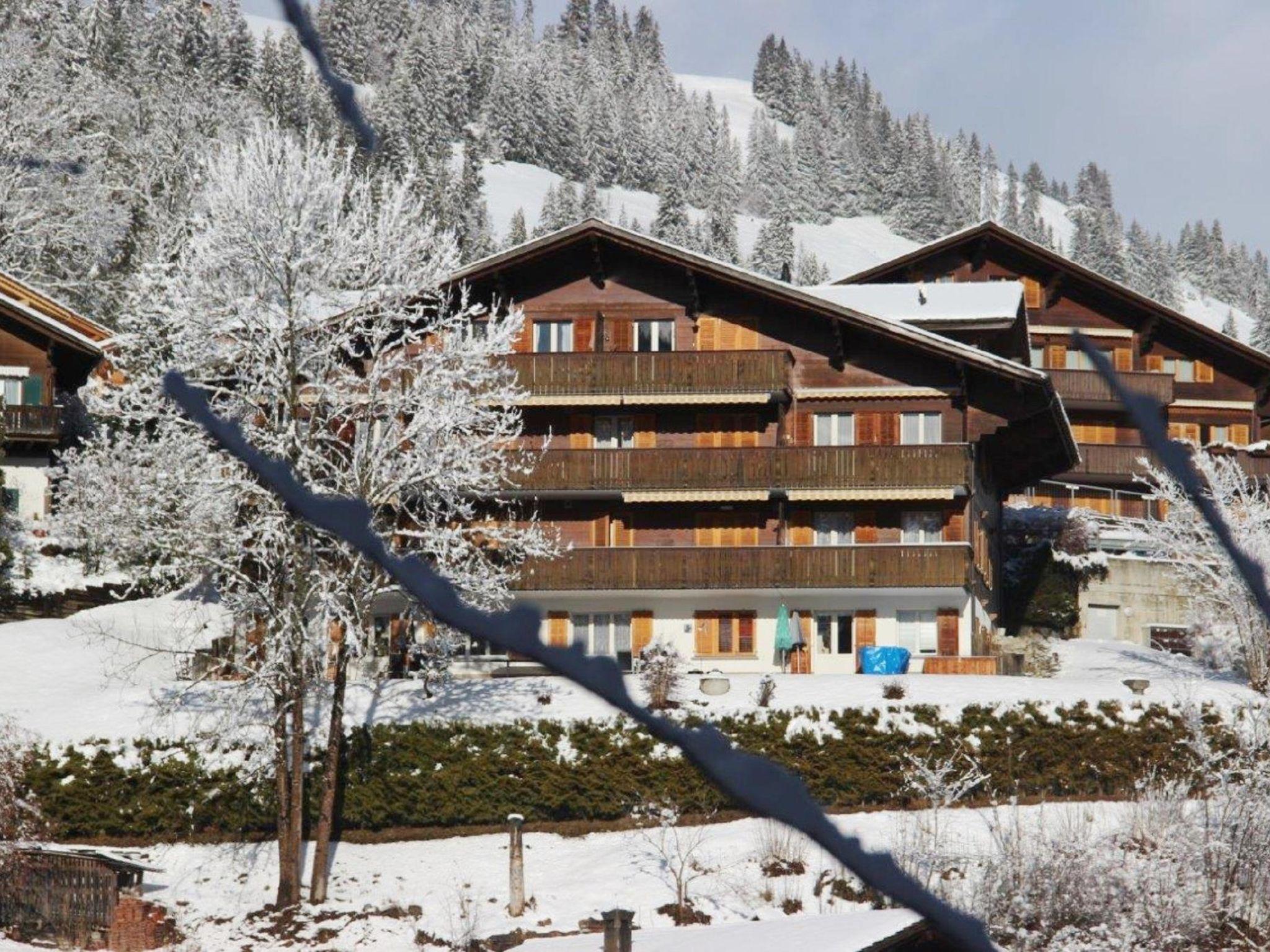 Photo 8 - Appartement de 2 chambres à Zweisimmen