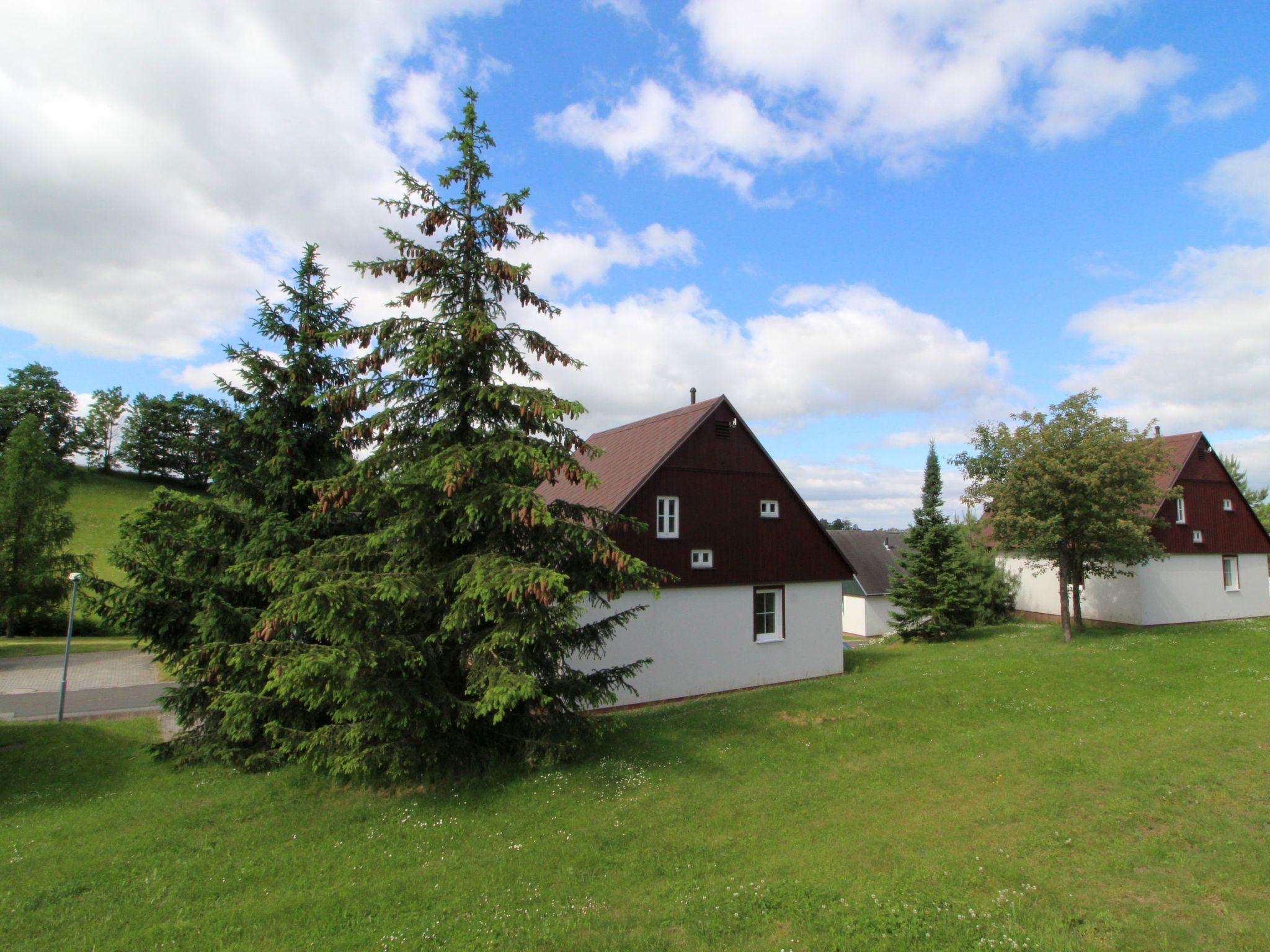 Foto 27 - Casa con 3 camere da letto a Černý Důl con piscina e giardino