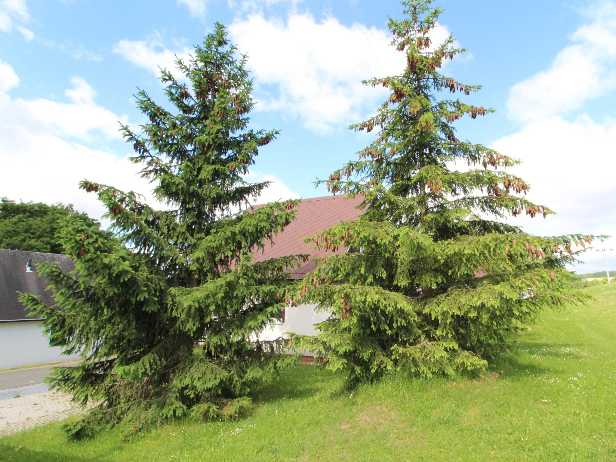 Photo 27 - Maison de 3 chambres à Černý Důl avec piscine et vues sur la montagne