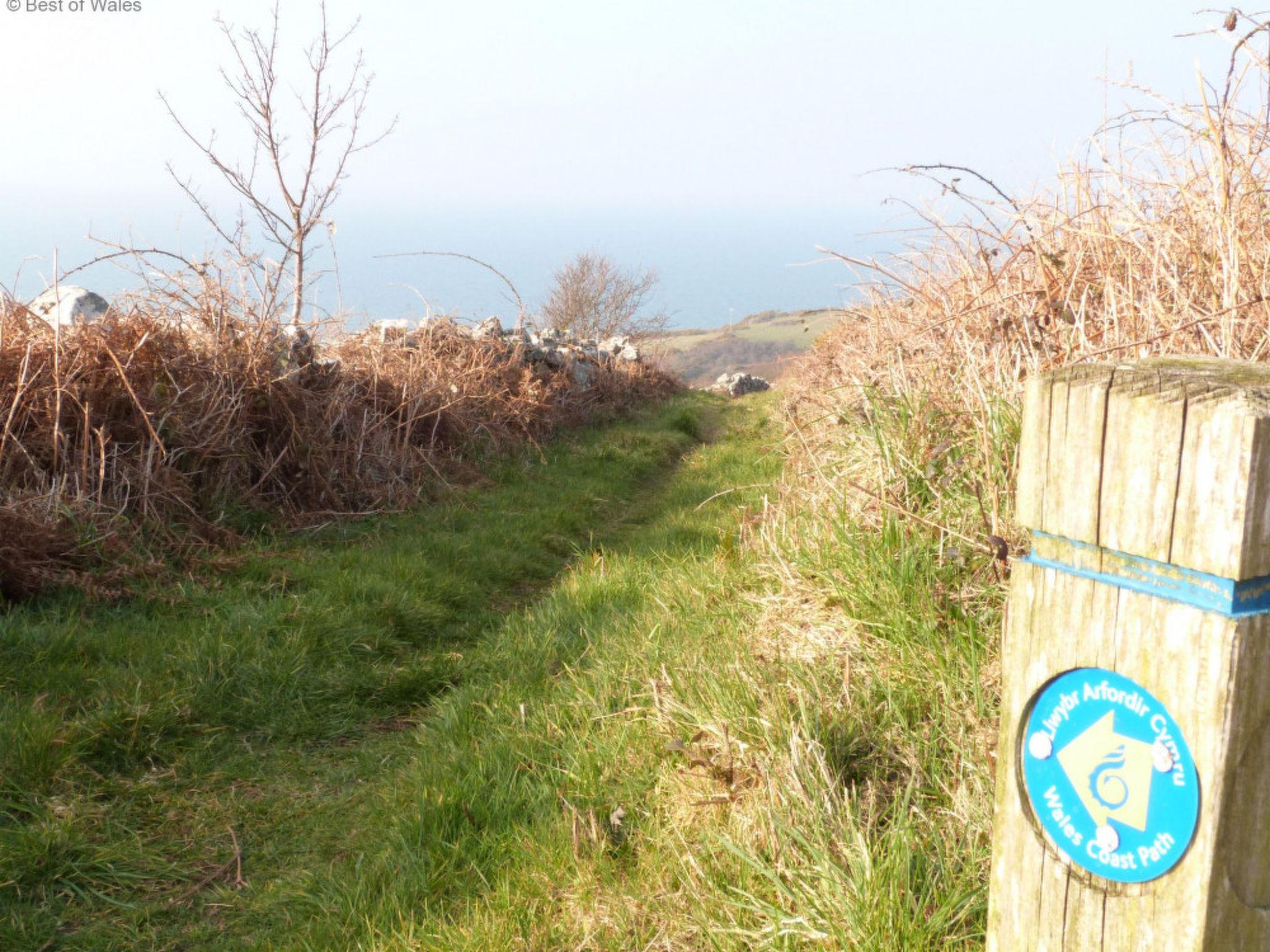 Photo 33 - Maison de 2 chambres à Pwllheli avec jardin et vues à la mer